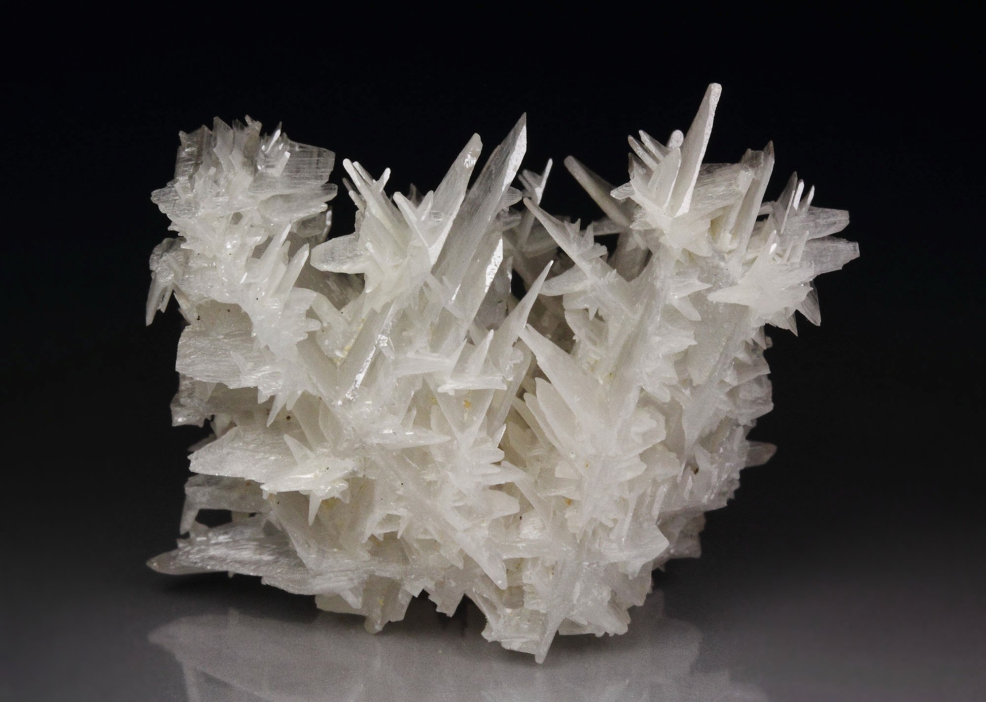 reticulated CERUSSITE