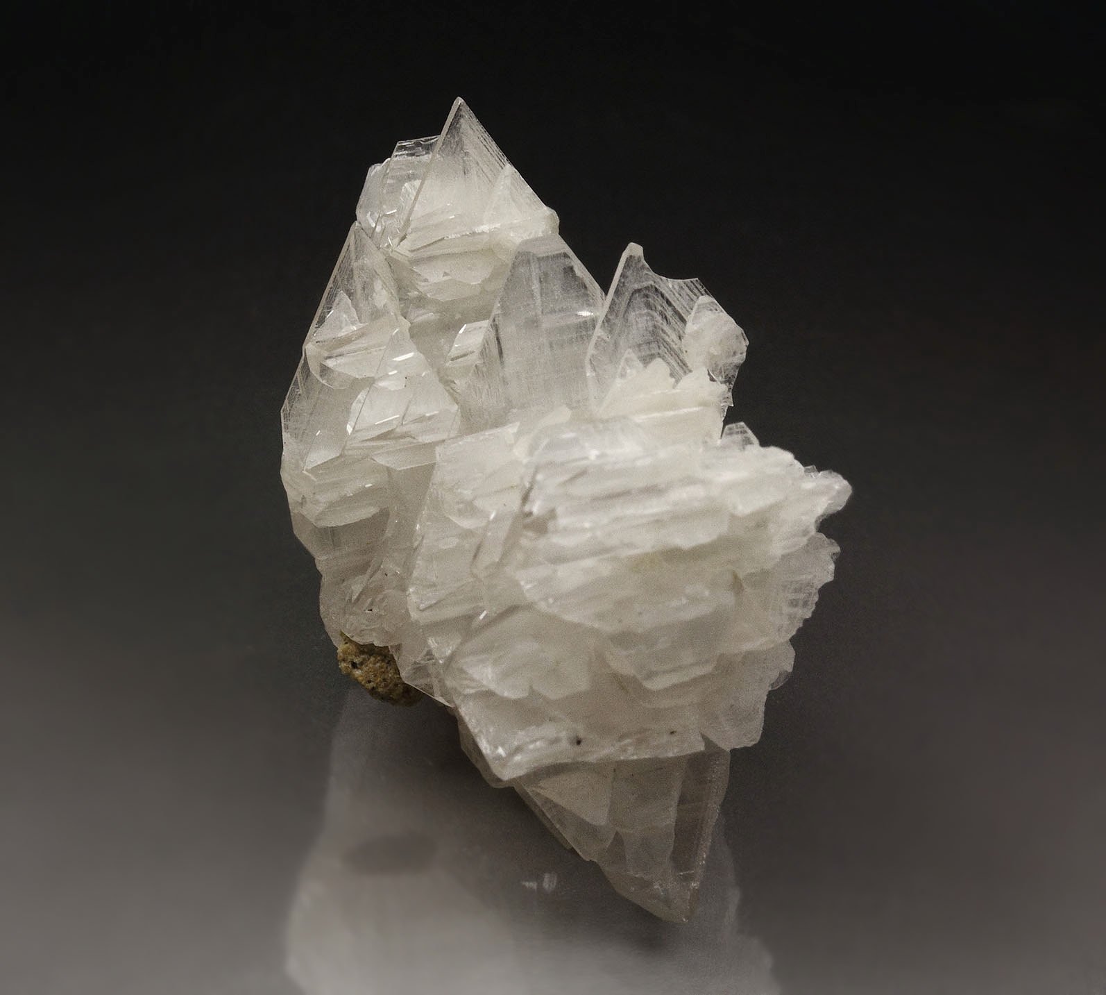 reticulated CERUSSITE