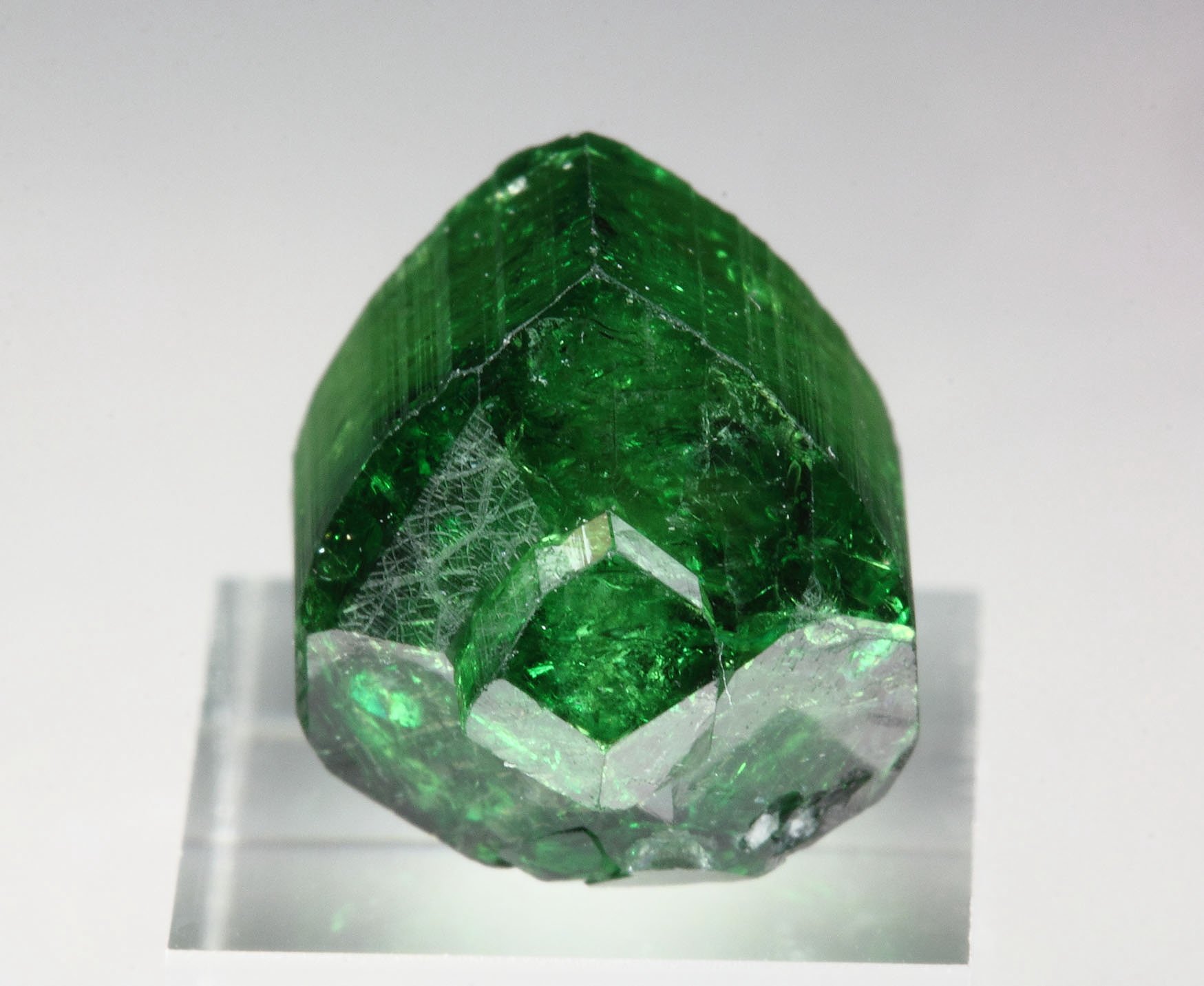 gem TOURMALINE var. CHROME TOURMALINE - floater