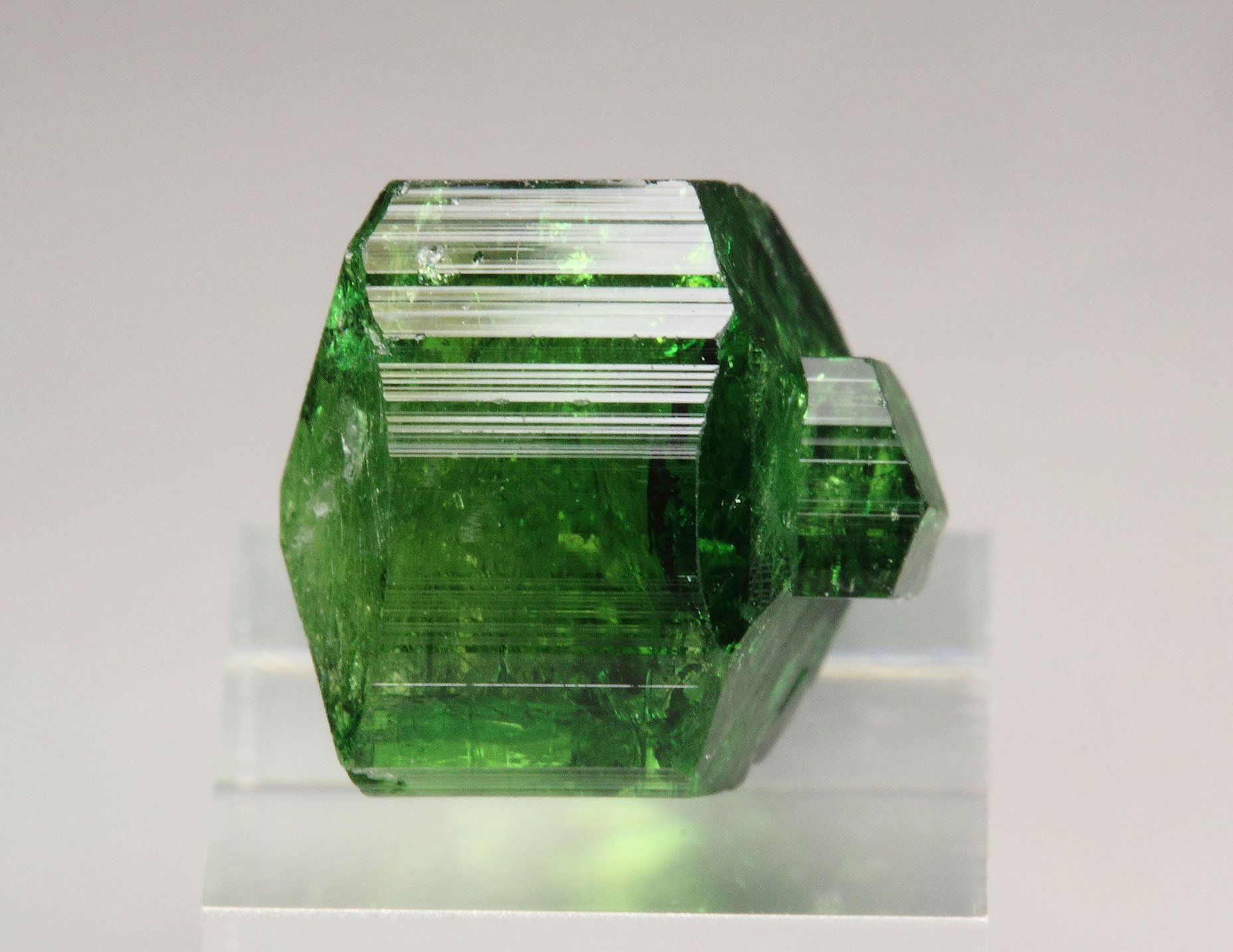 gem TOURMALINE var. CHROME TOURMALINE - floater