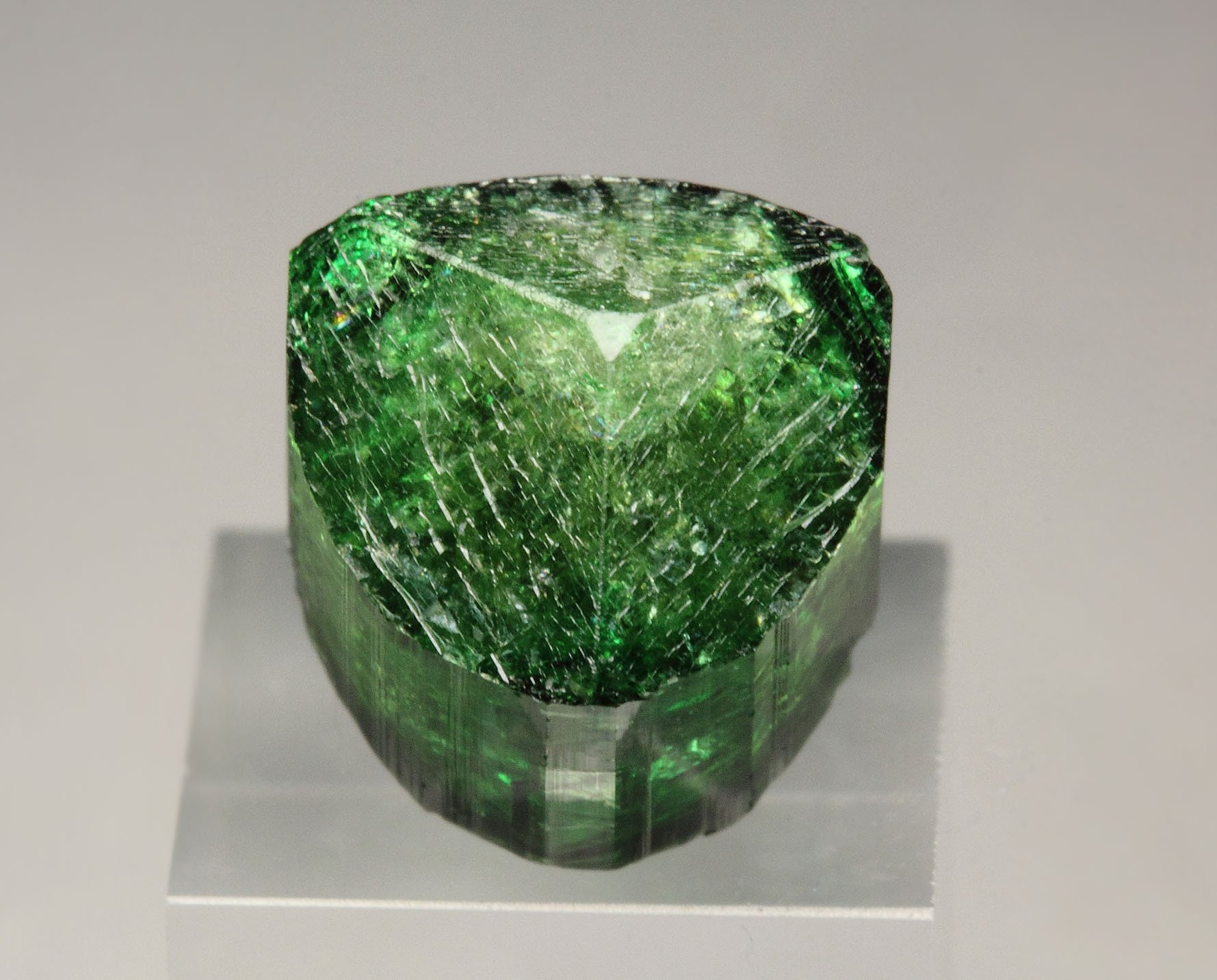 gem TOURMALINE var. CHROME TOURMALINE - floater