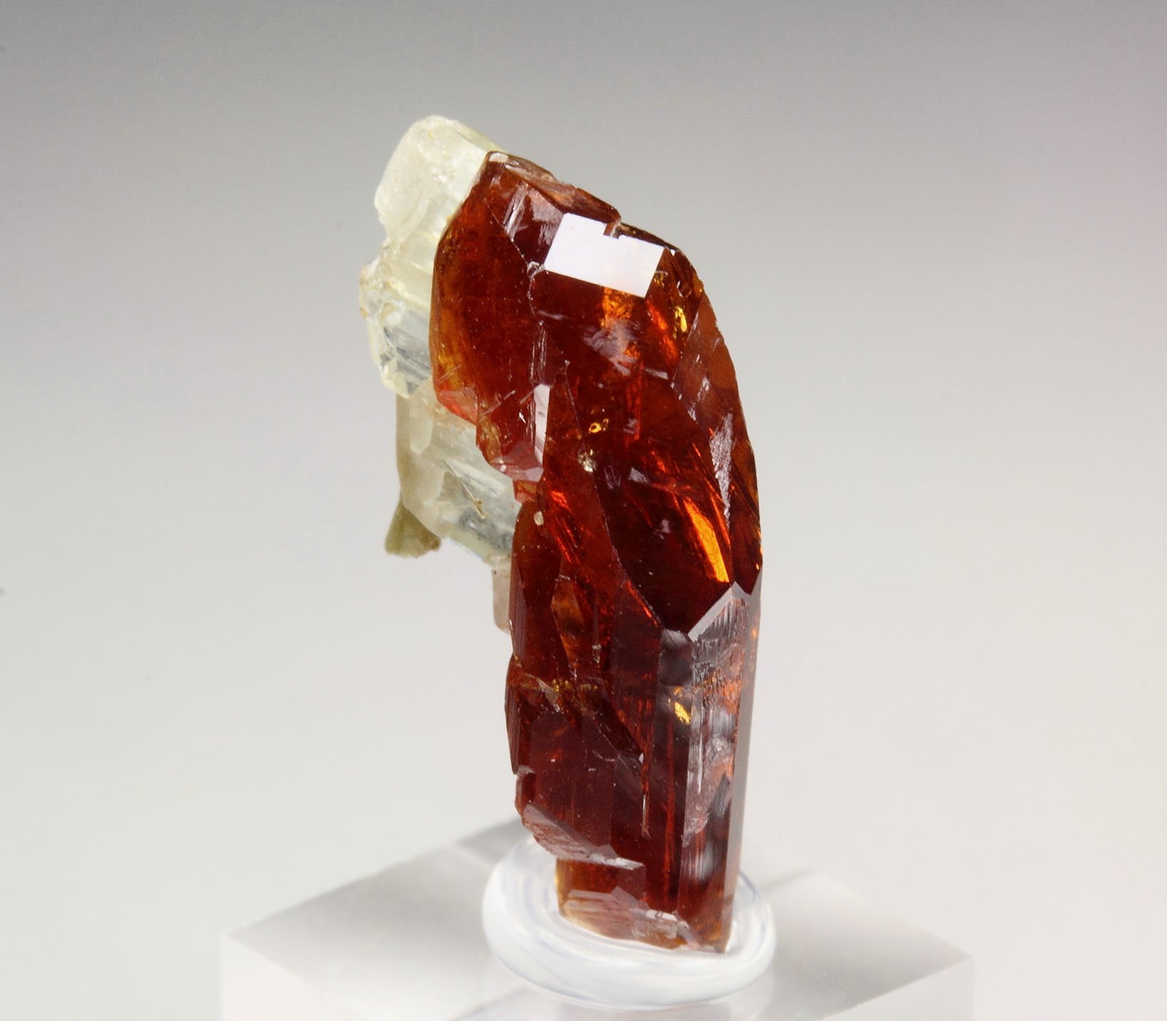 gem GARNET var. HESSONITE, DIOPSIDE