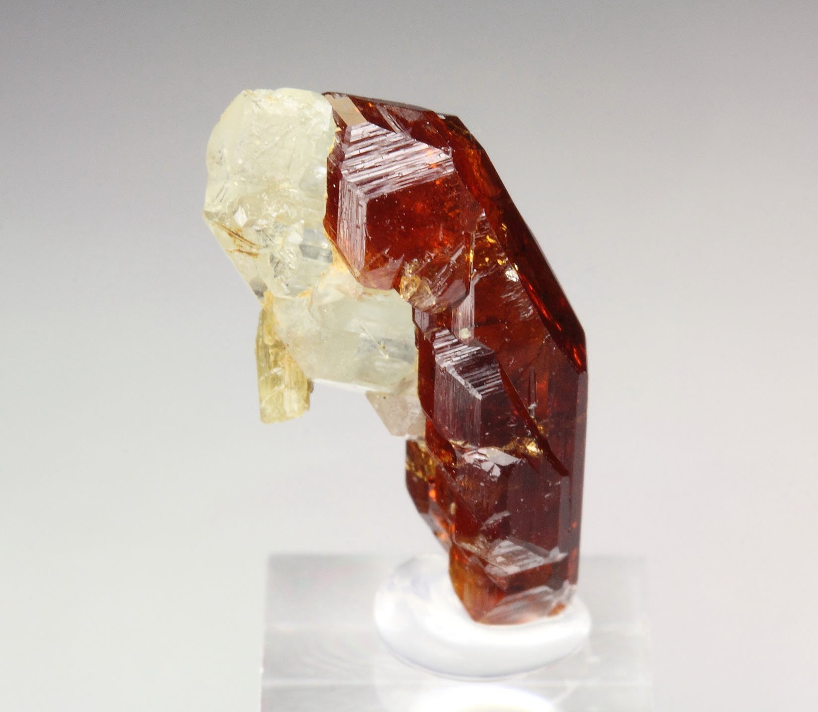 gem GARNET var. HESSONITE, DIOPSIDE