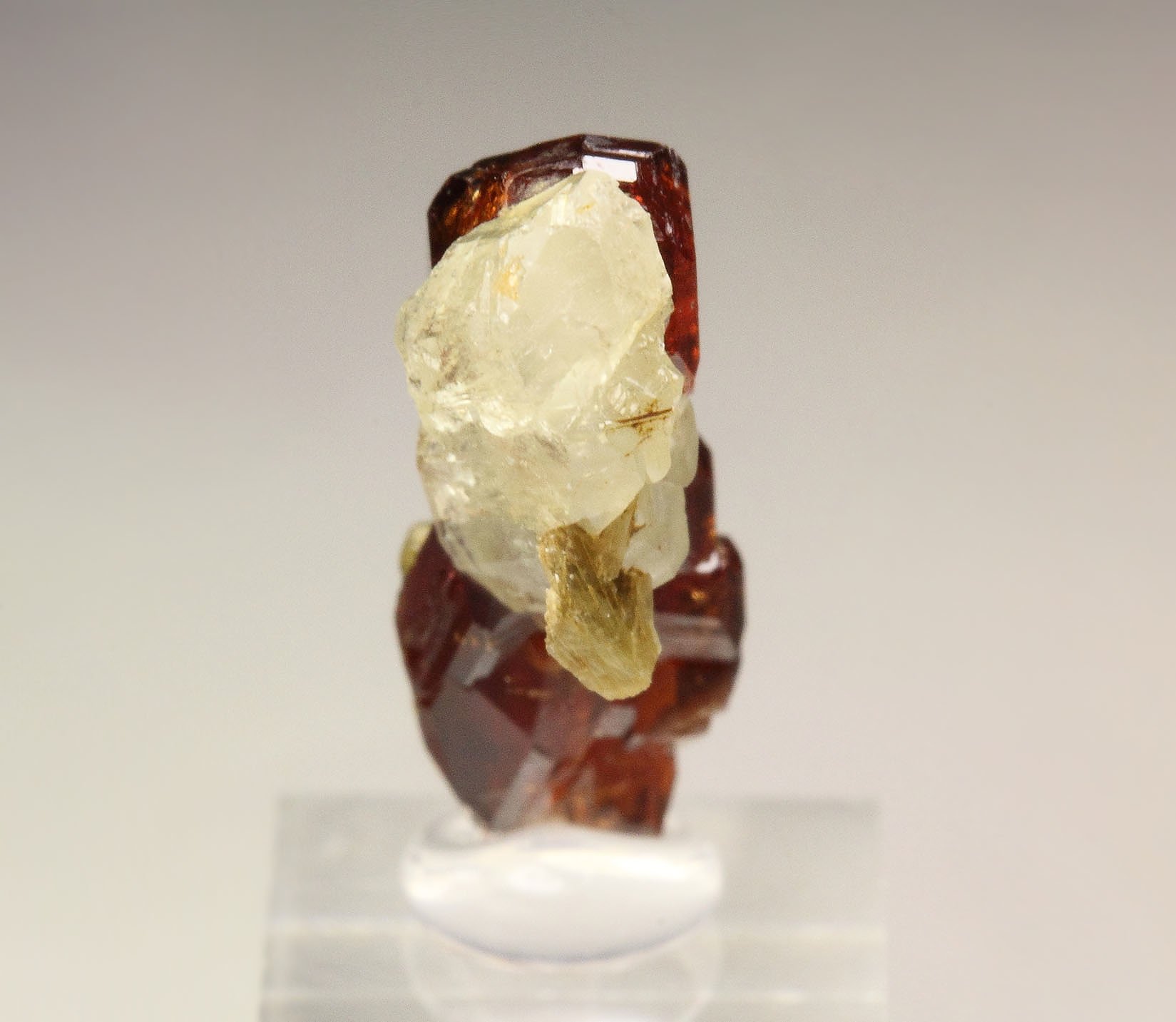 gem GARNET var. HESSONITE, DIOPSIDE