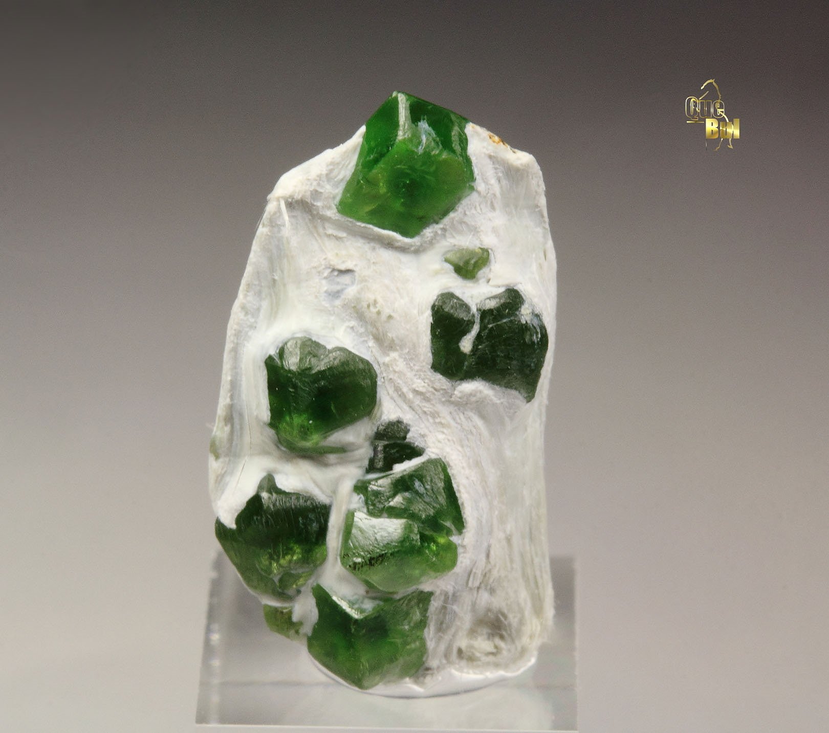 gem GARNET var. ANDRADITE var. DEMANTOID