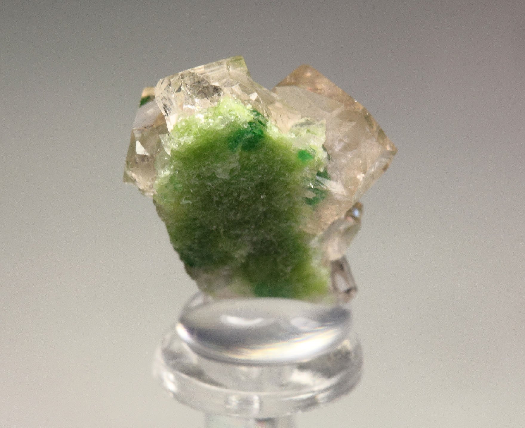 gem GARNET var. GROSSULAR with GREEN CHROMIAN PHANTOMS