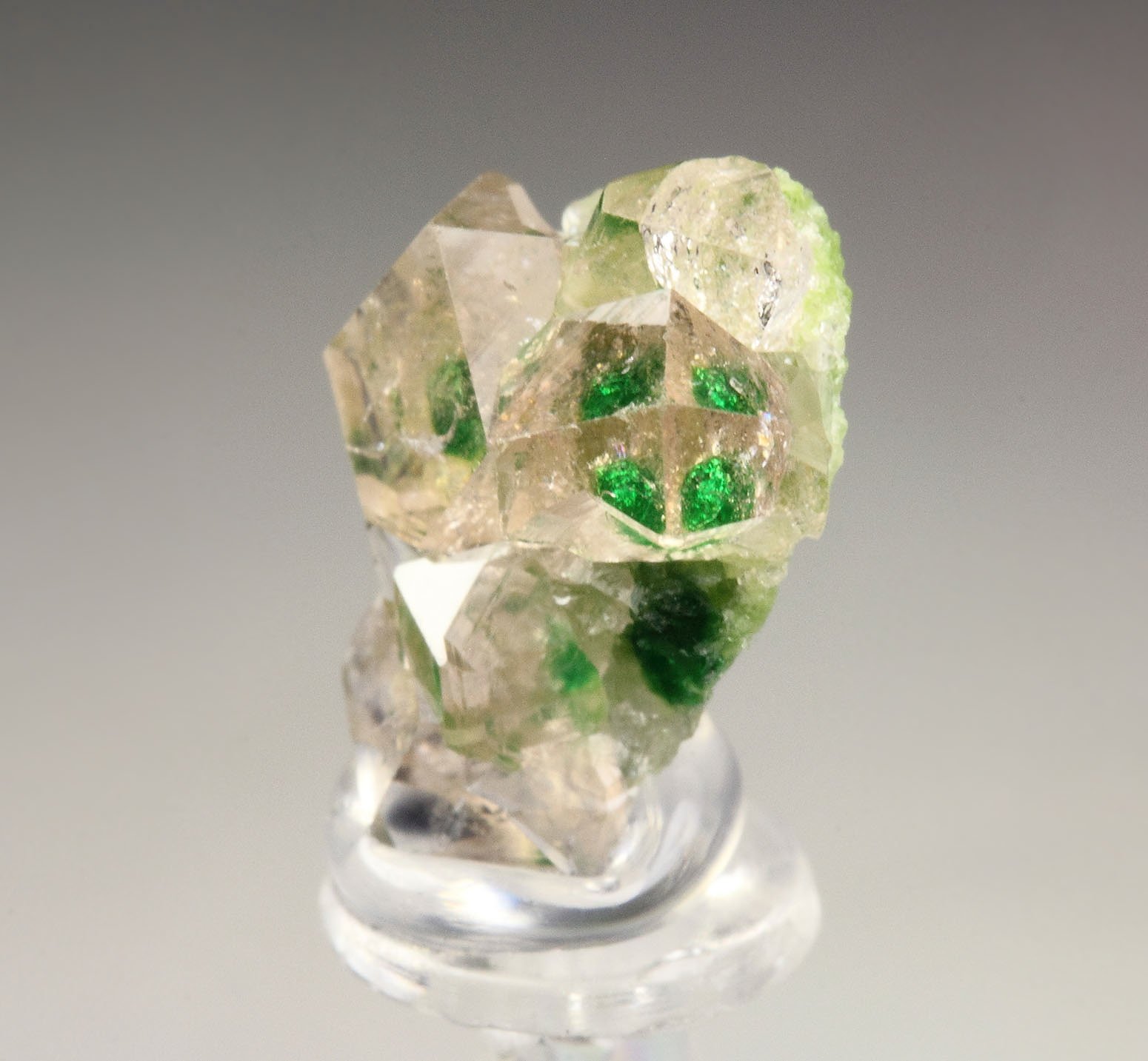 gem GARNET var. GROSSULAR with GREEN CHROMIAN PHANTOMS