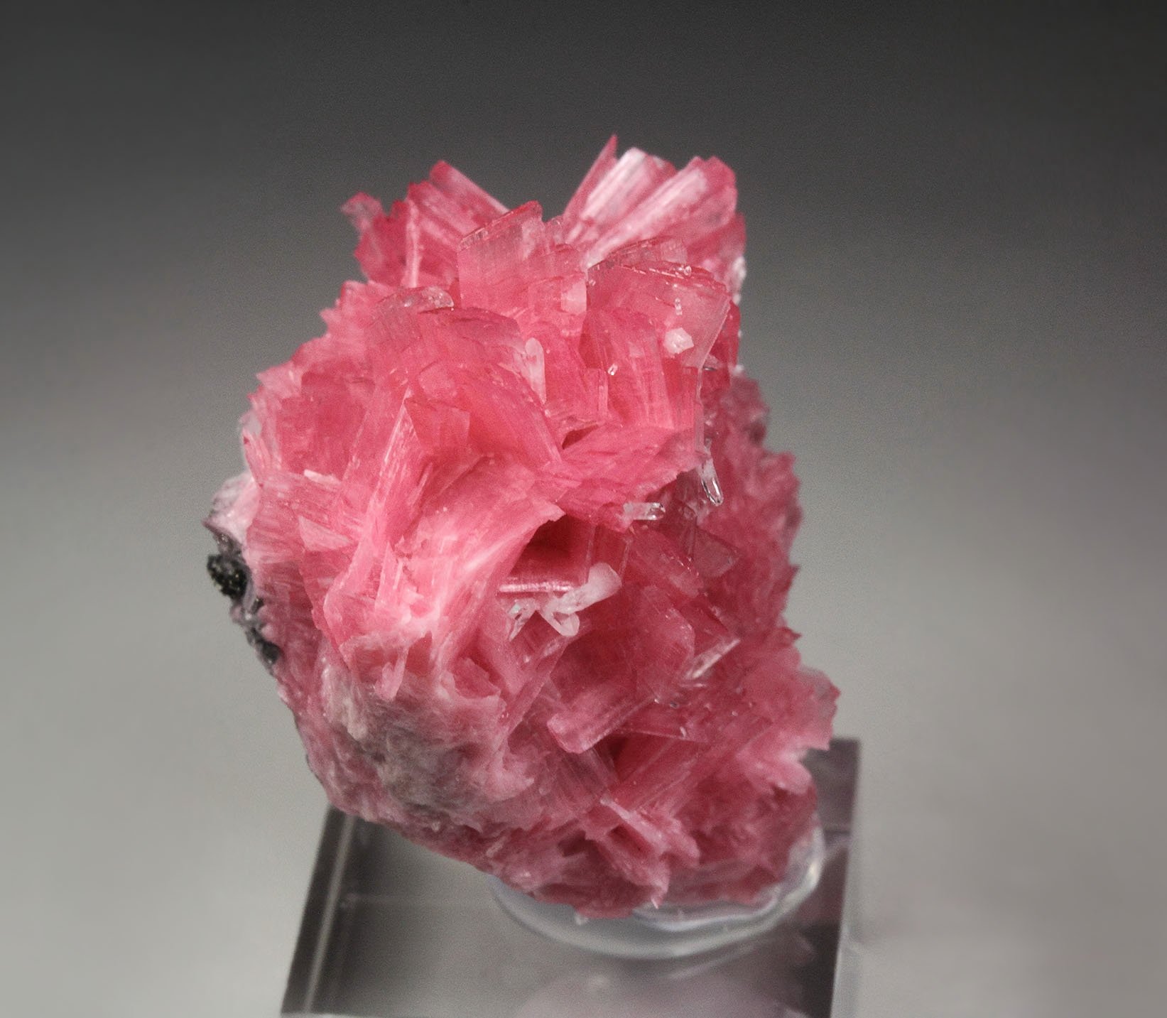 RHODONITE, QUARTZ