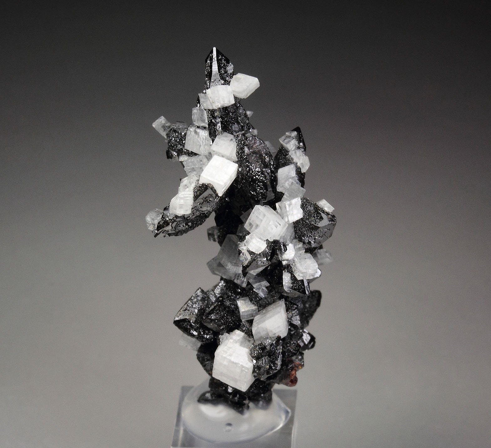 DESCLOIZITE, CALCITE