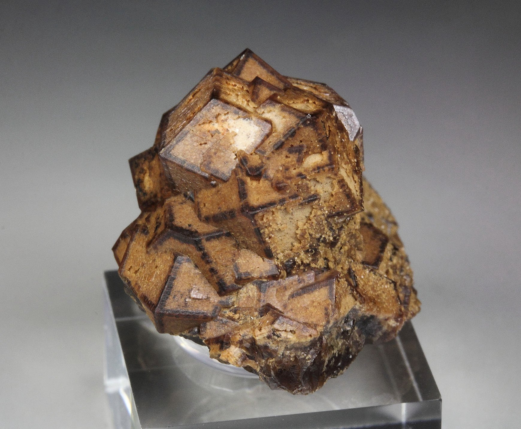 GARNET var. ANDRADITE