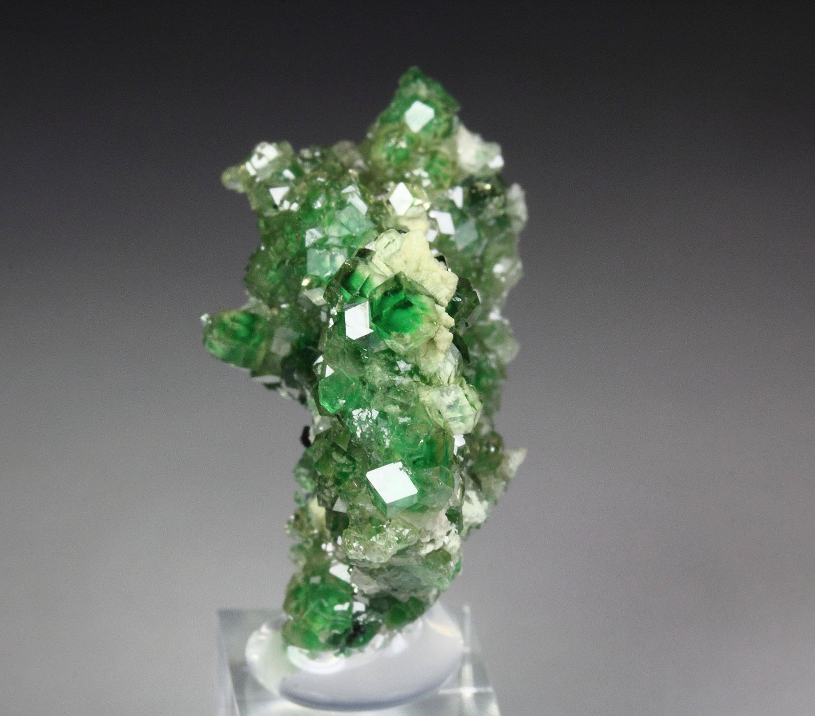 gem GARNET var. GROSSULAR with GREEN CHROMIAN PHANTOMS