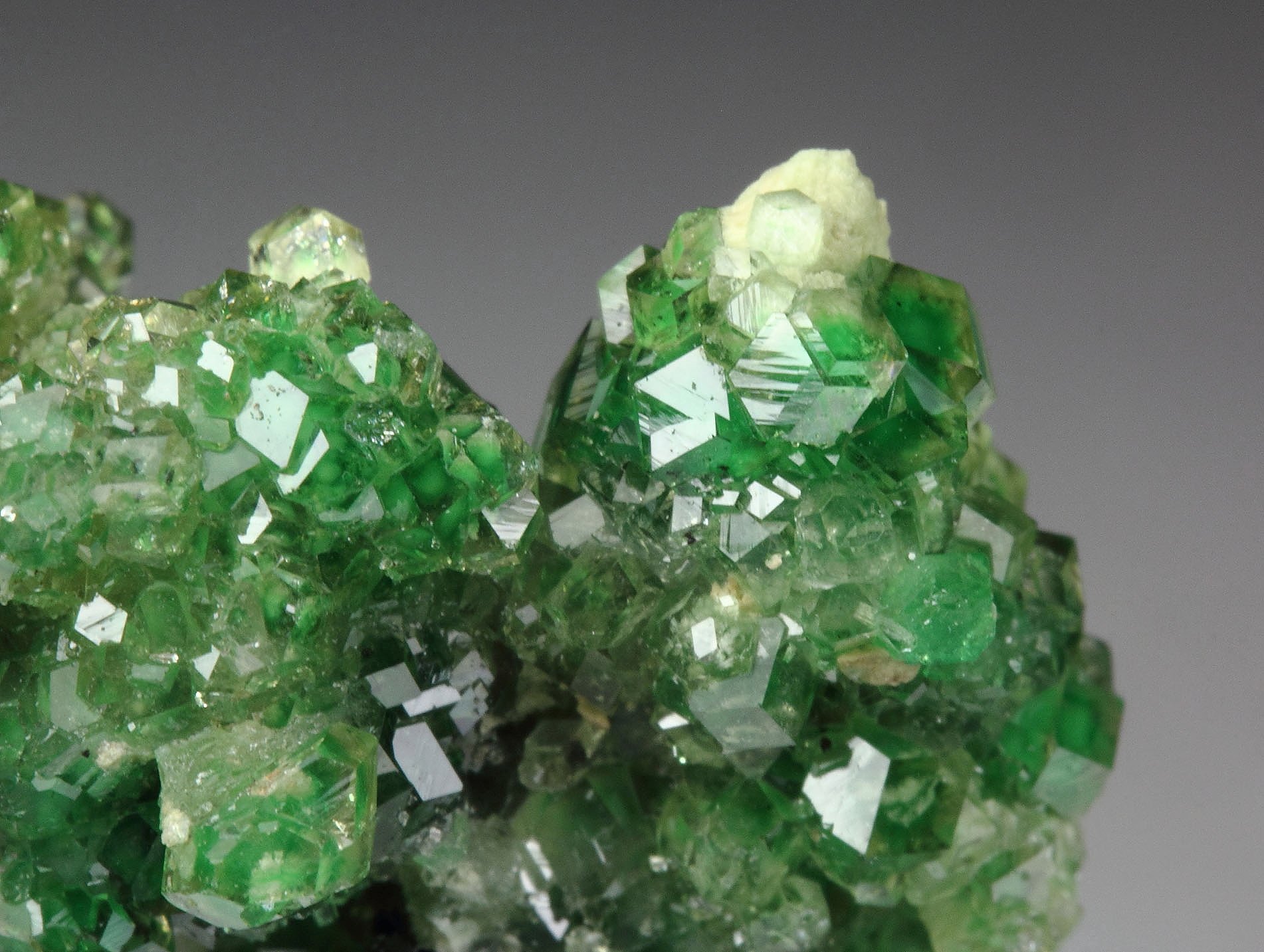 gem GARNET var. GROSSULAR with GREEN CHROMIAN PHANTOMS