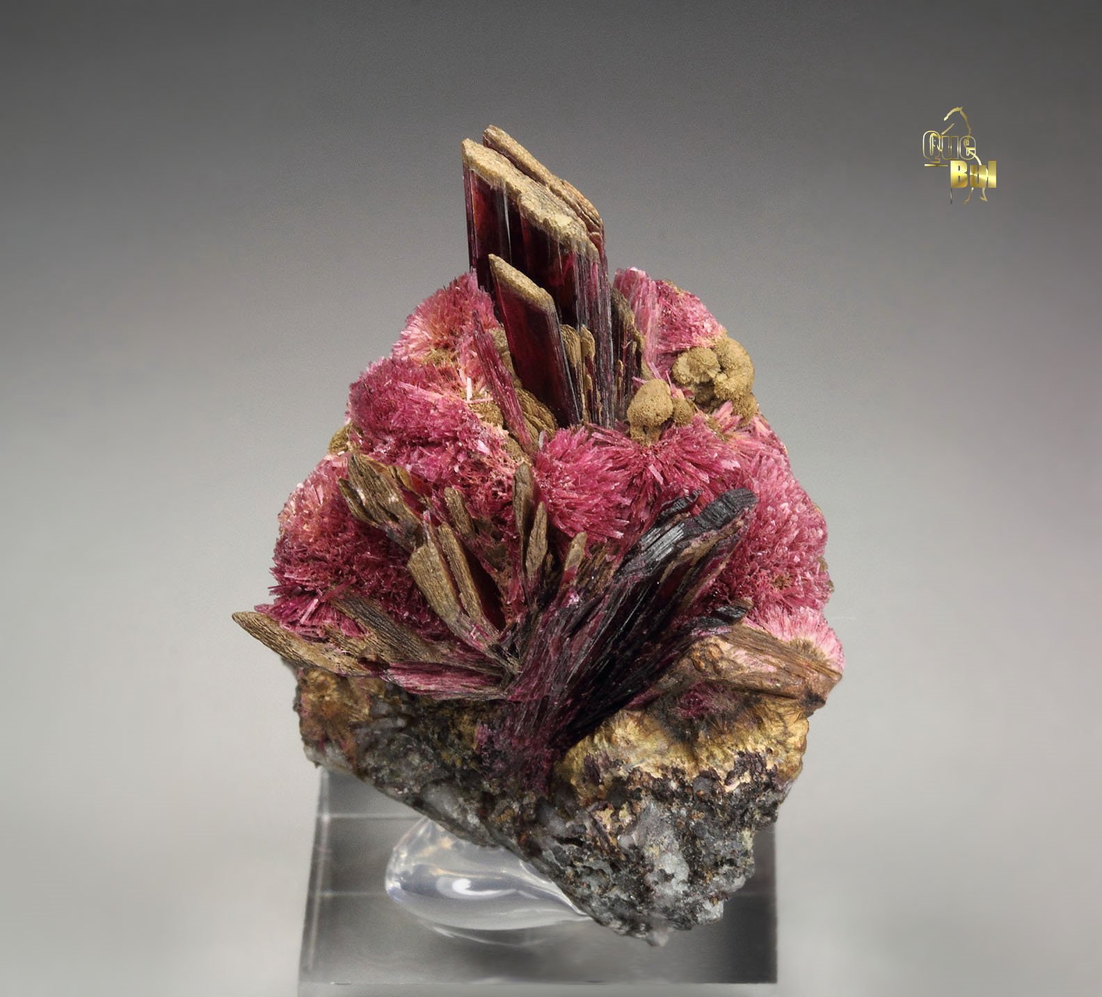 ERYTHRITE two habits