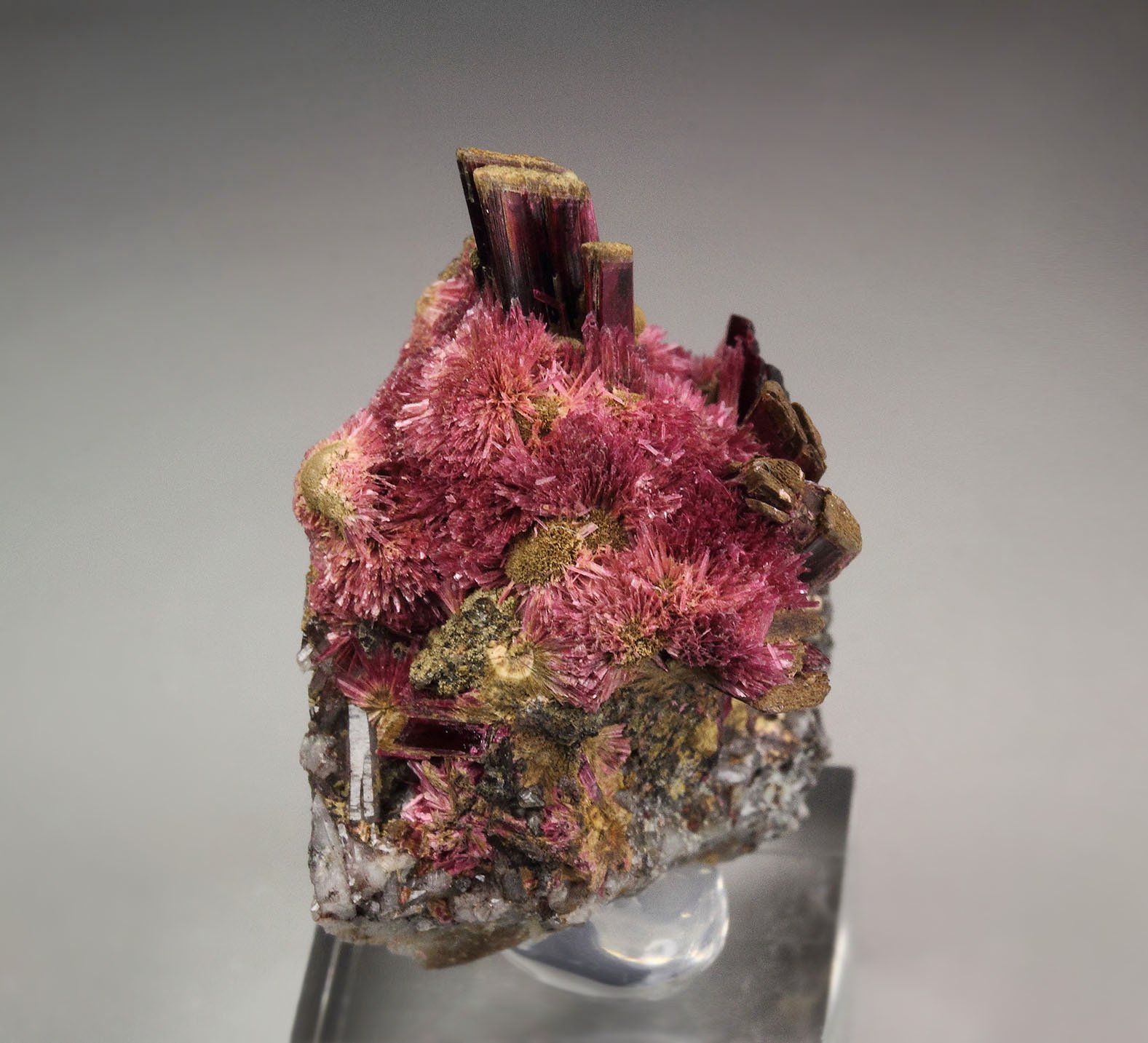 ERYTHRITE two habits