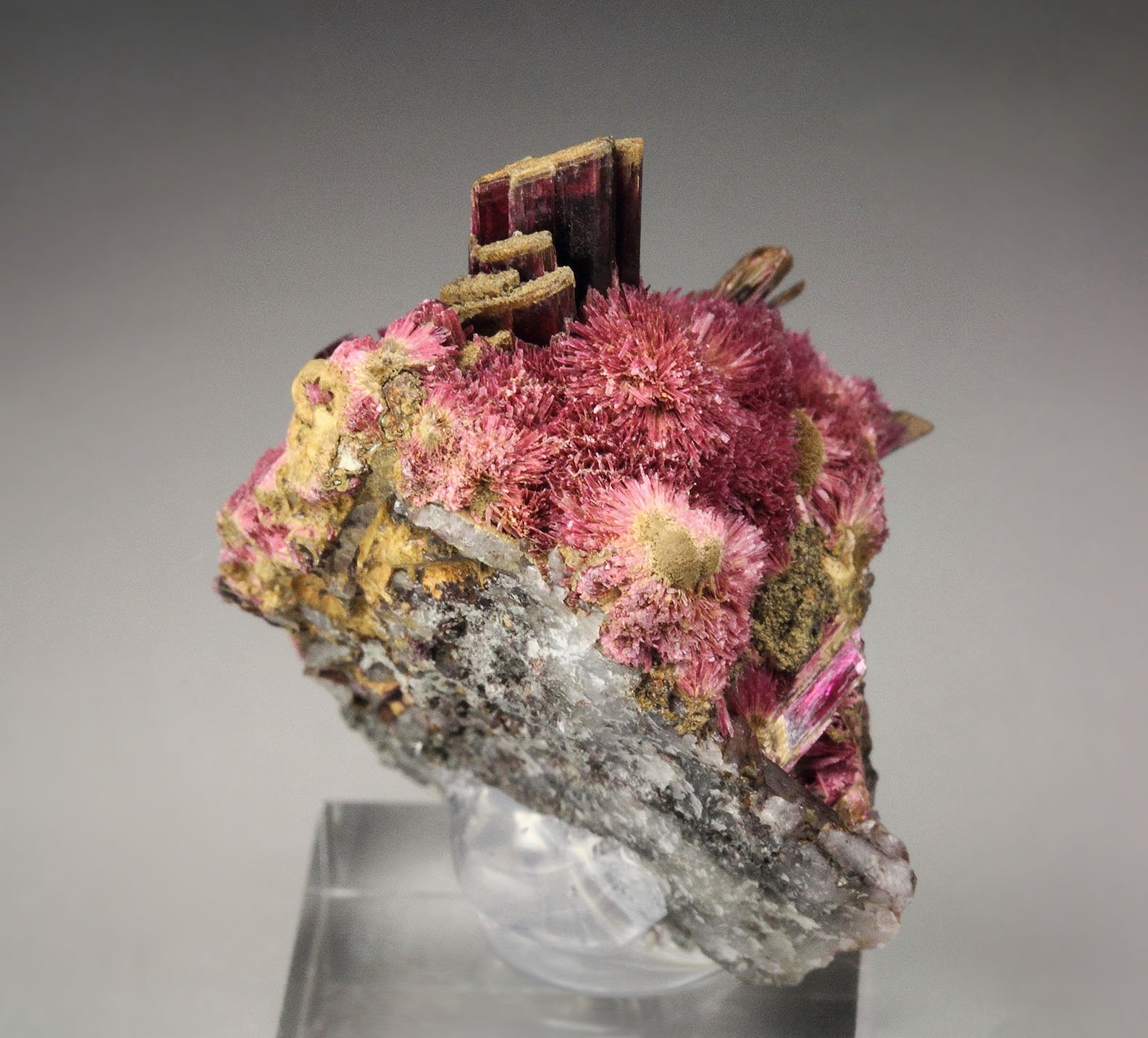 ERYTHRITE two habits