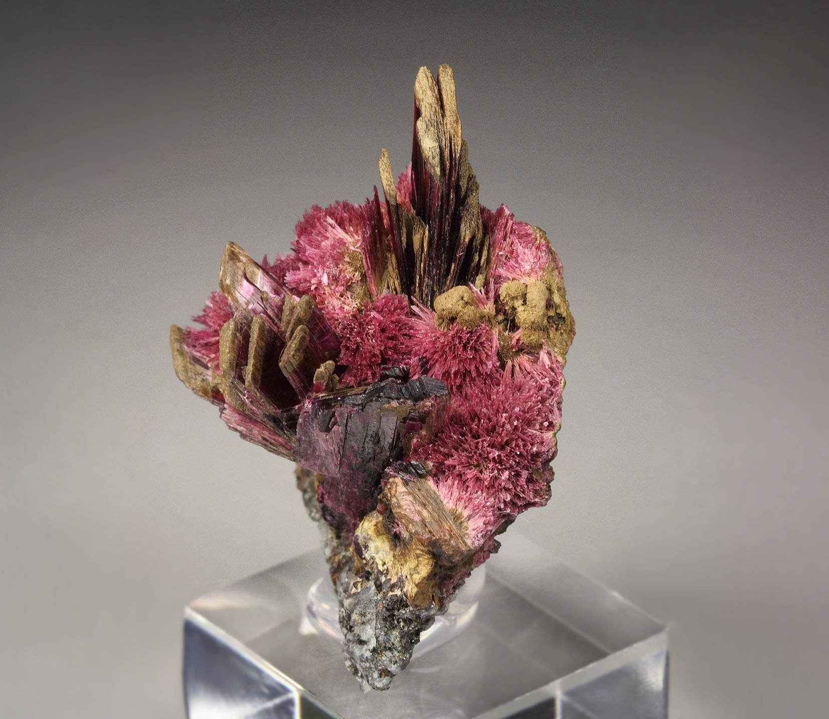 ERYTHRITE two habits