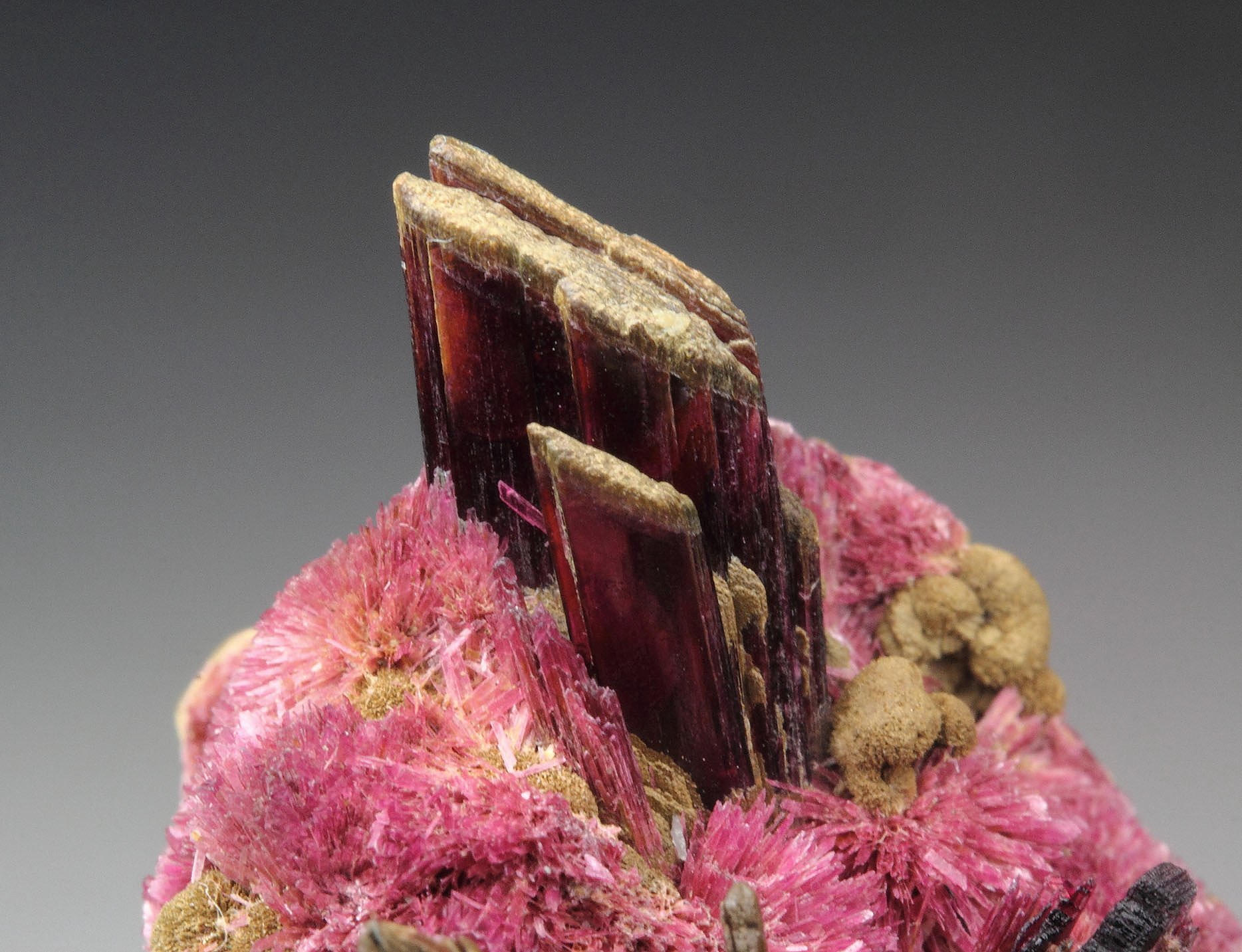 ERYTHRITE two habits