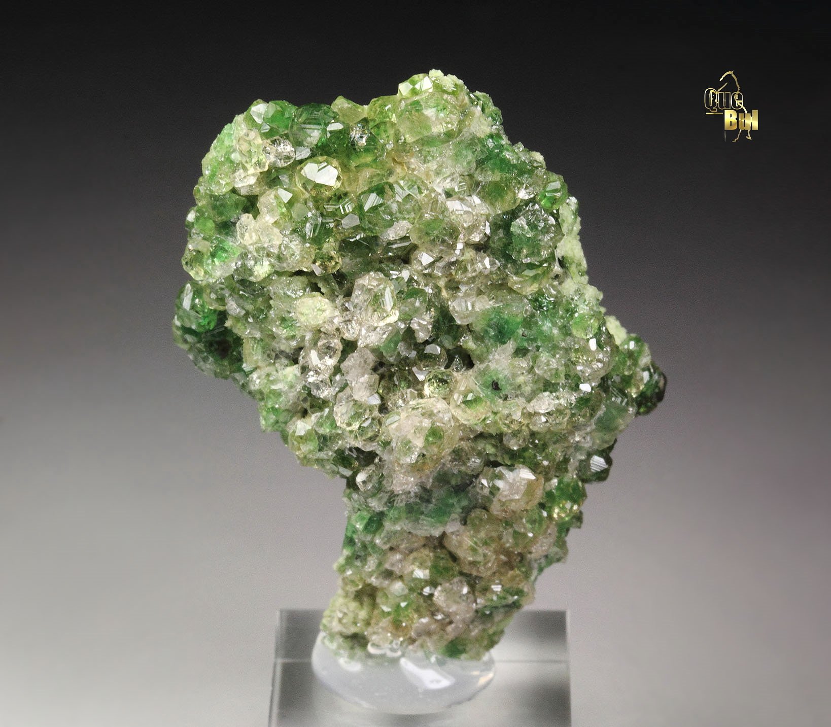 gem GARNET var. GROSSULAR with GREEN CHROMIAN PHANTOMS, DIOPSIDE