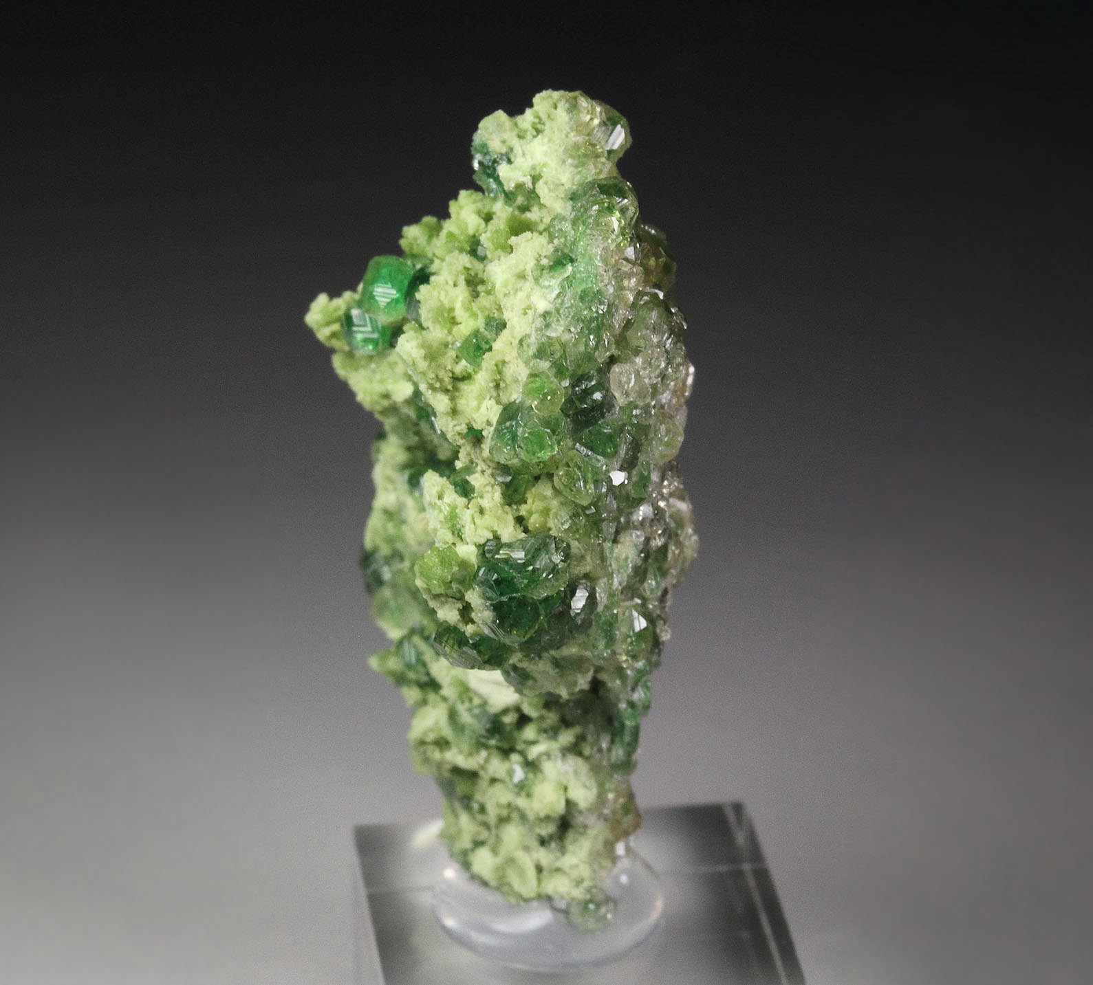 gem GARNET var. GROSSULAR with GREEN CHROMIAN PHANTOMS, DIOPSIDE