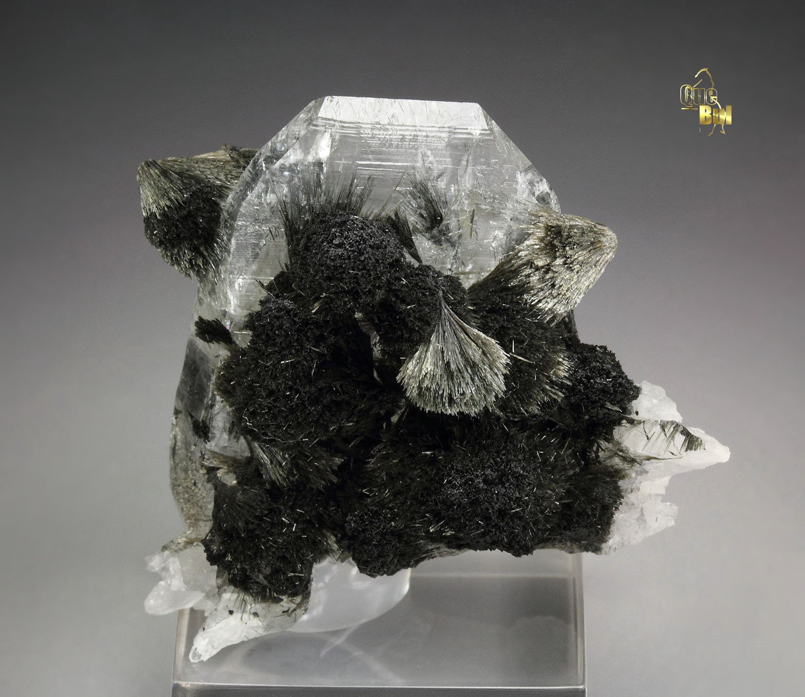 TOURMALINE (LUINAITE-(OH)), QUARTZ