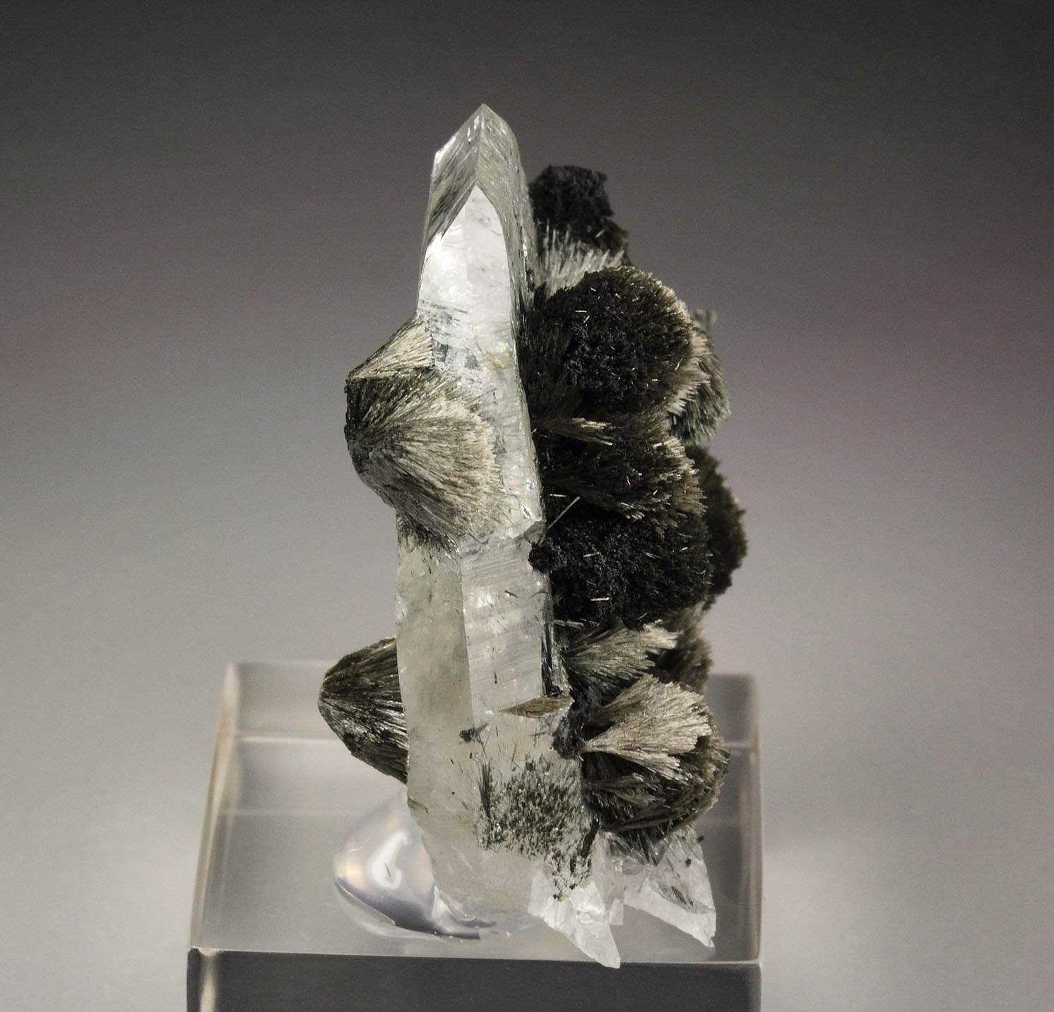 TOURMALINE (LUINAITE-(OH)), QUARTZ