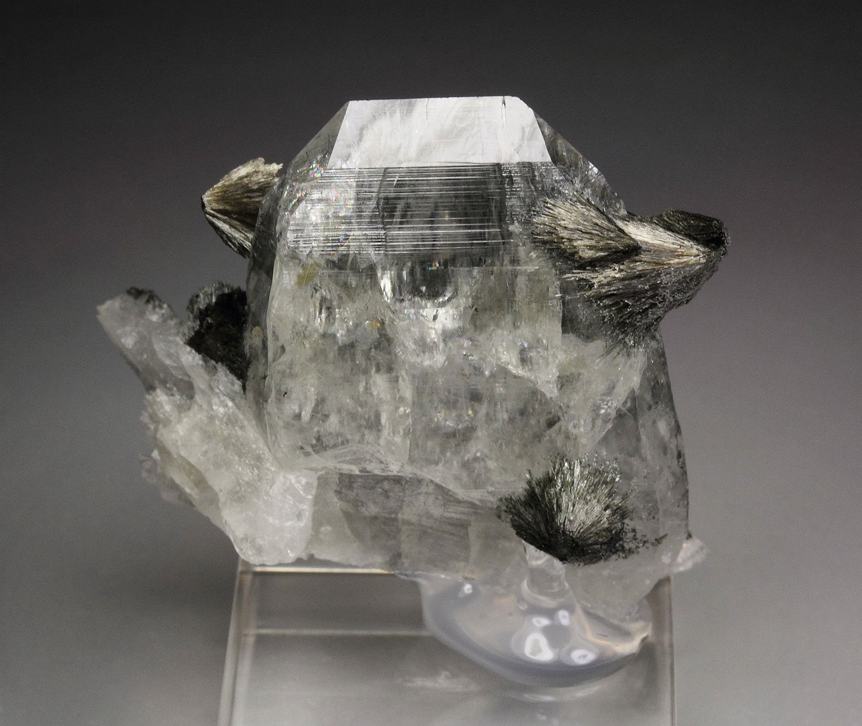 TOURMALINE (LUINAITE-(OH)), QUARTZ