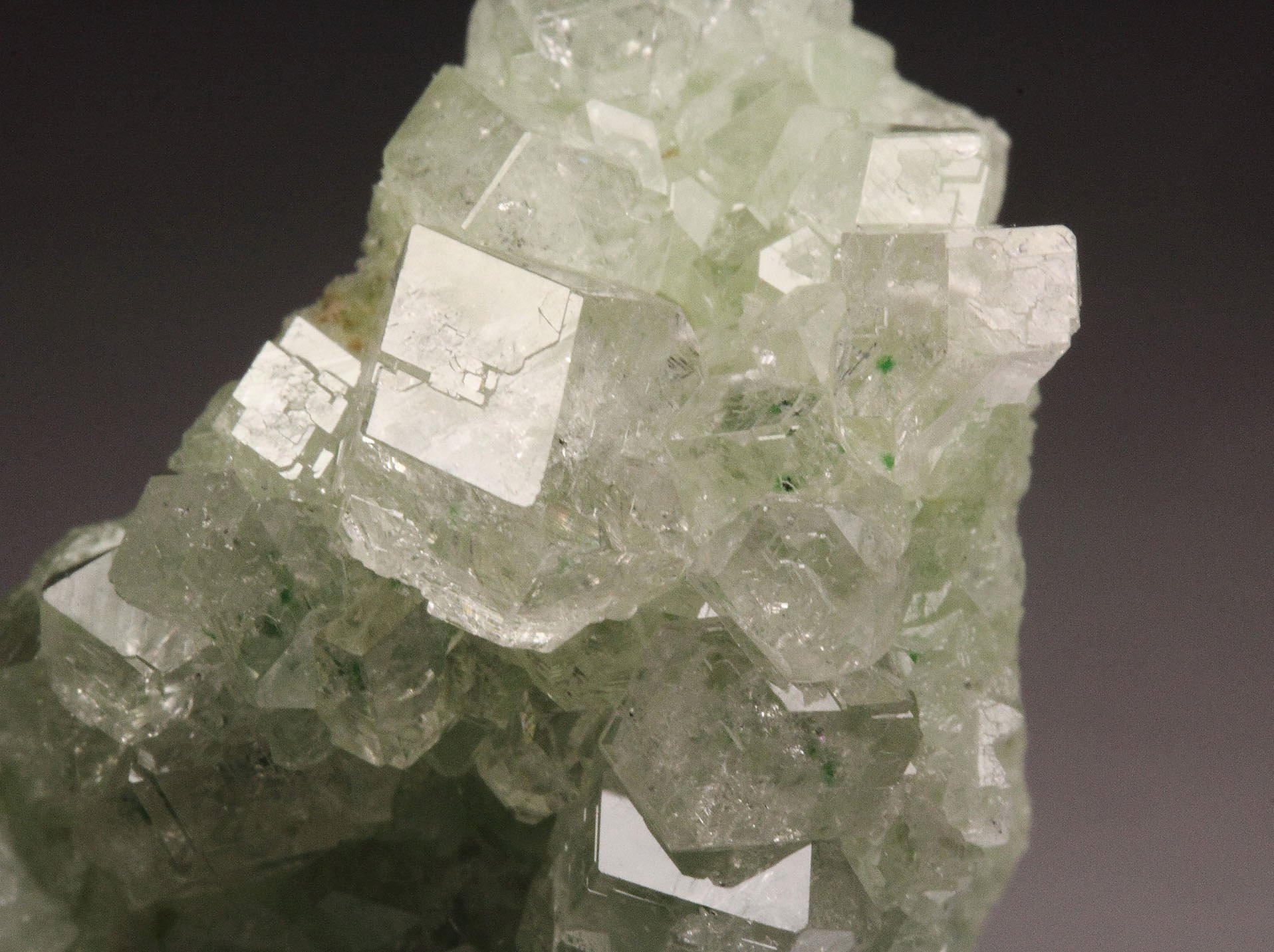 colorless gem GARNET var. GROSSULAR, DIOPSIDE