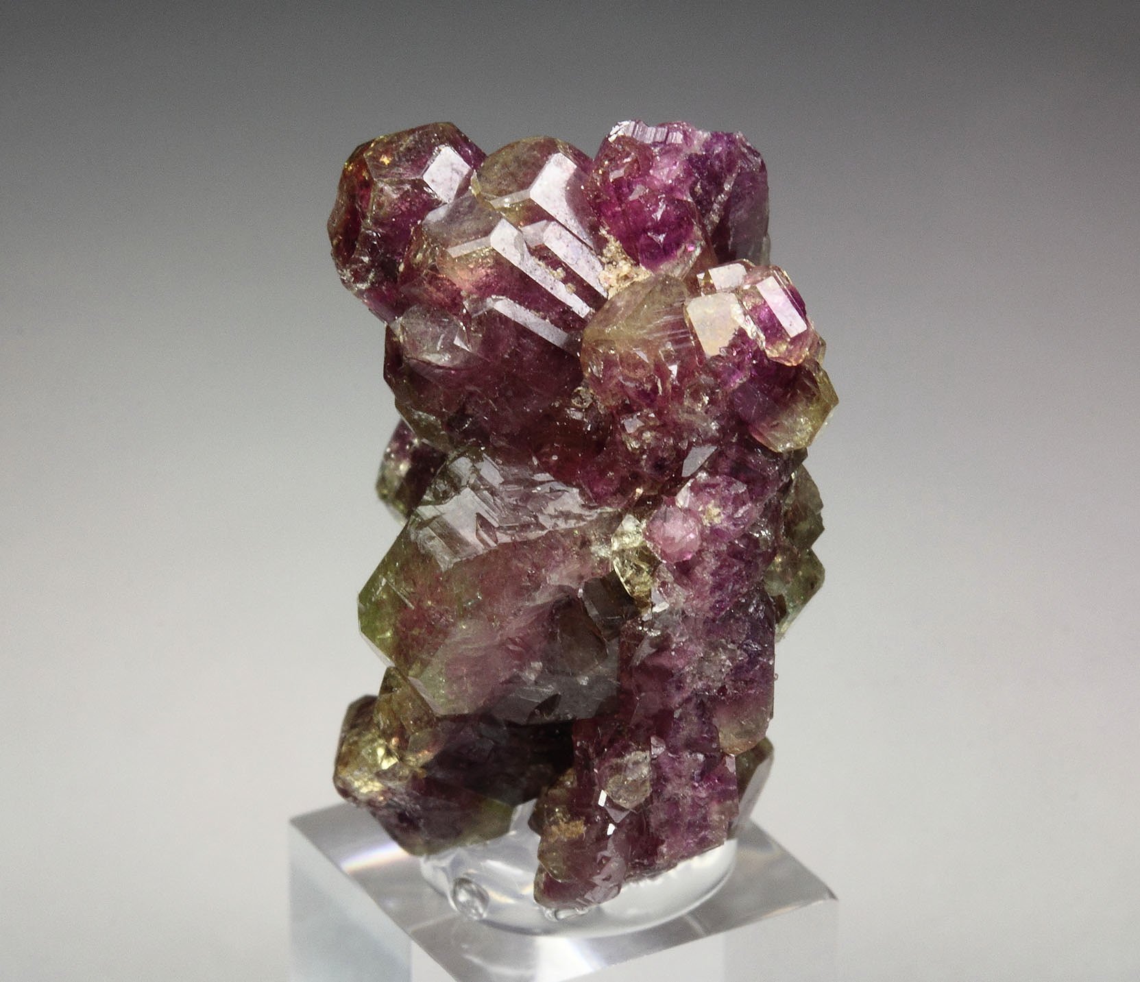 gemmy VESUVIANITE var. MANGANOAN