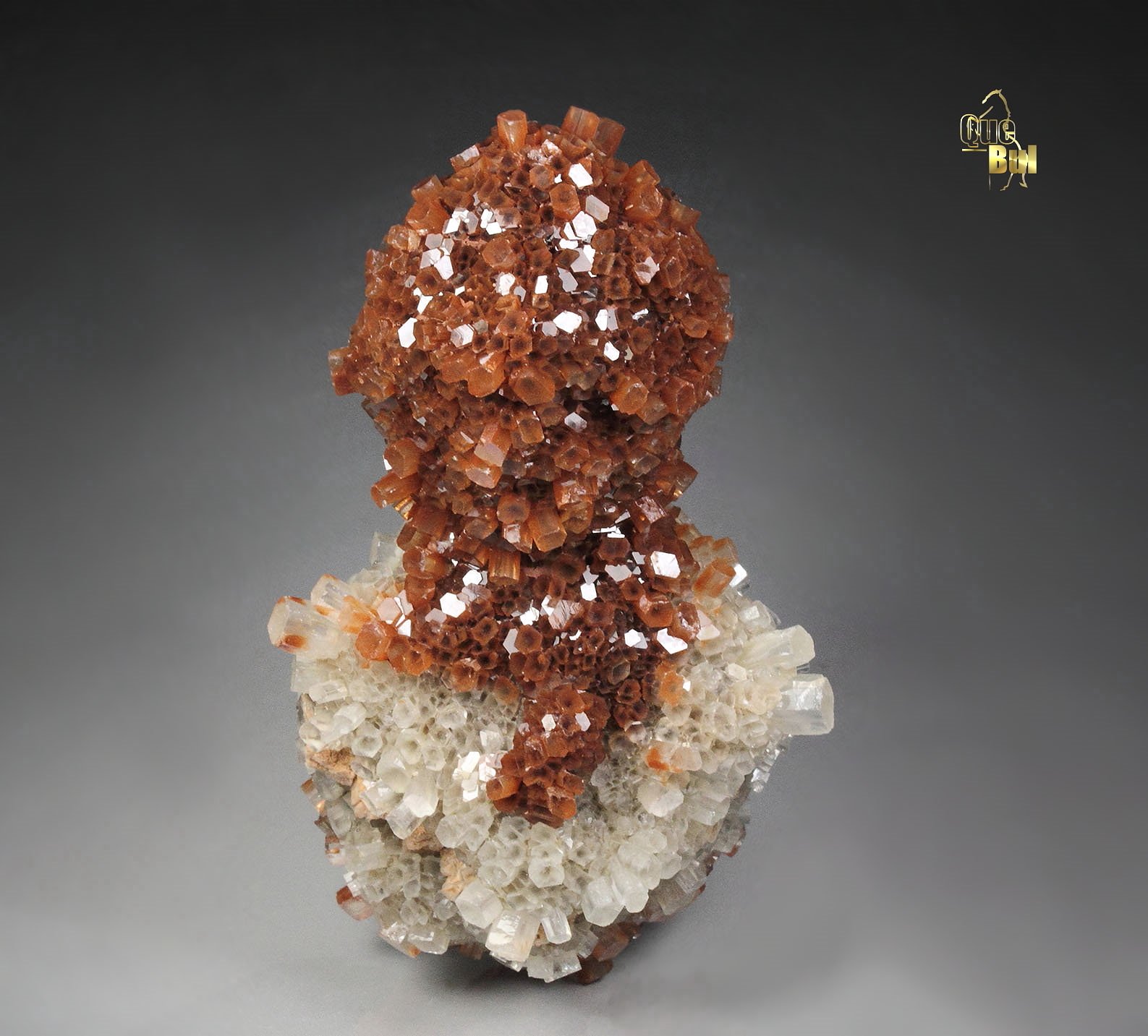 bi-color ARAGONITE