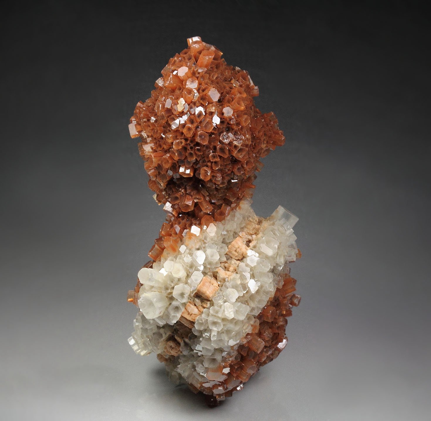 bi-color ARAGONITE