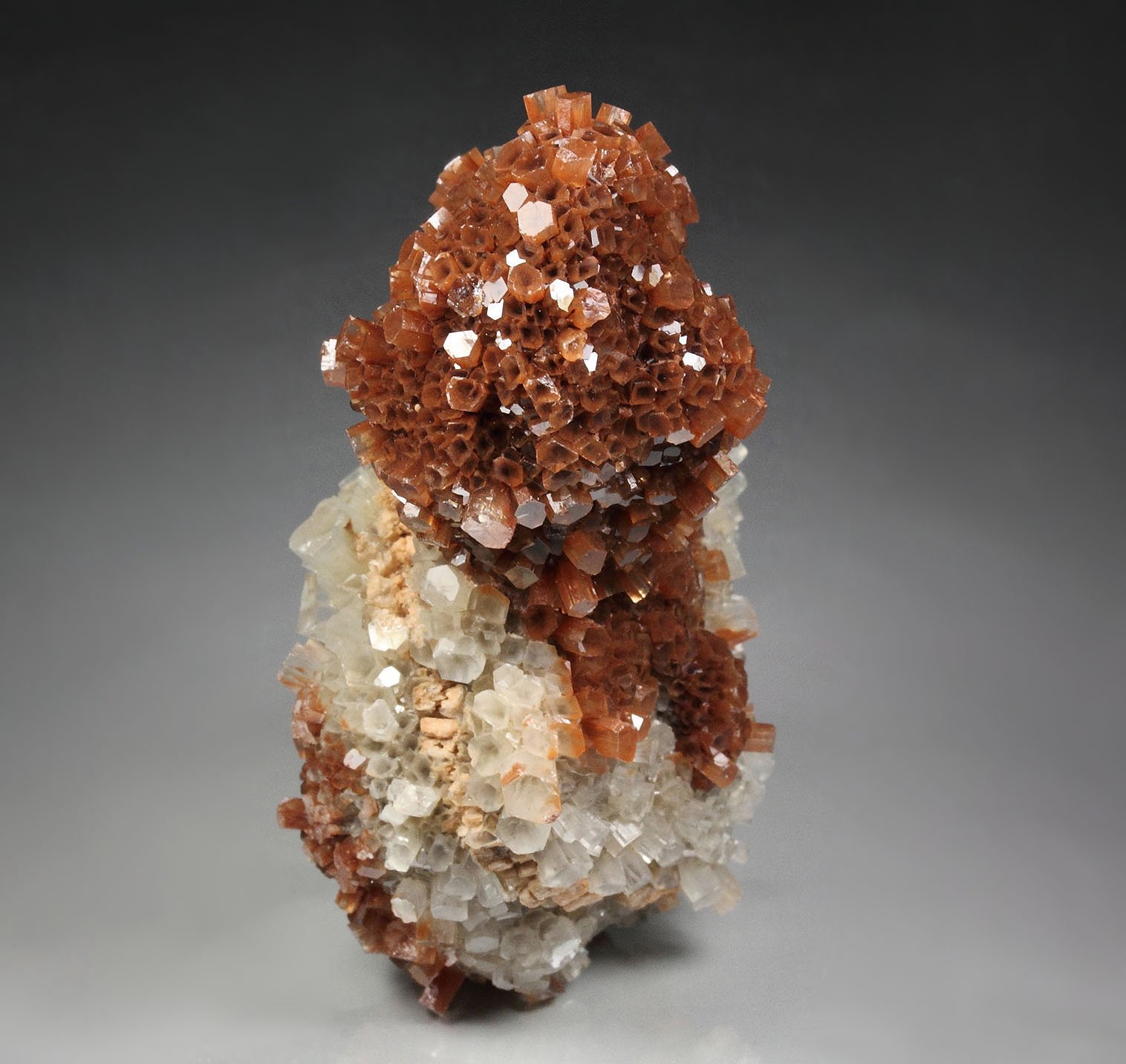 bi-color ARAGONITE