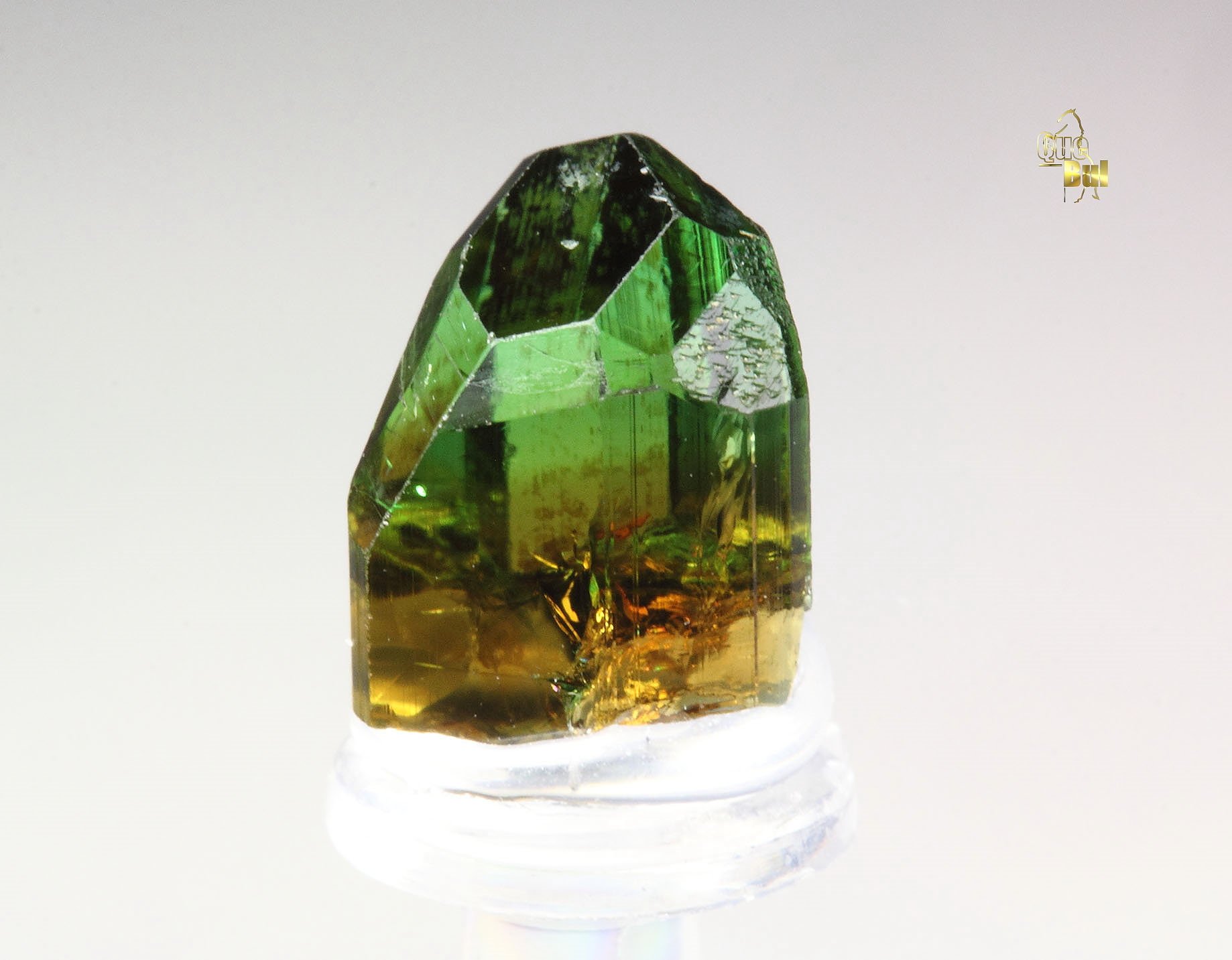 gem TOURMALINE var. DRAVITE