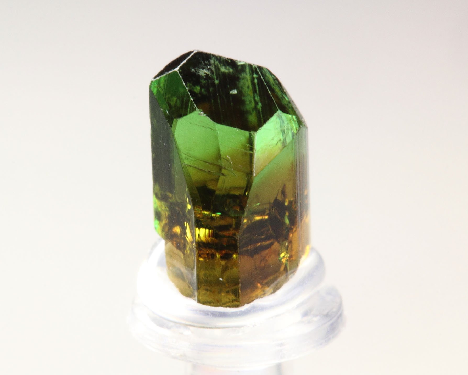 gem TOURMALINE var. DRAVITE