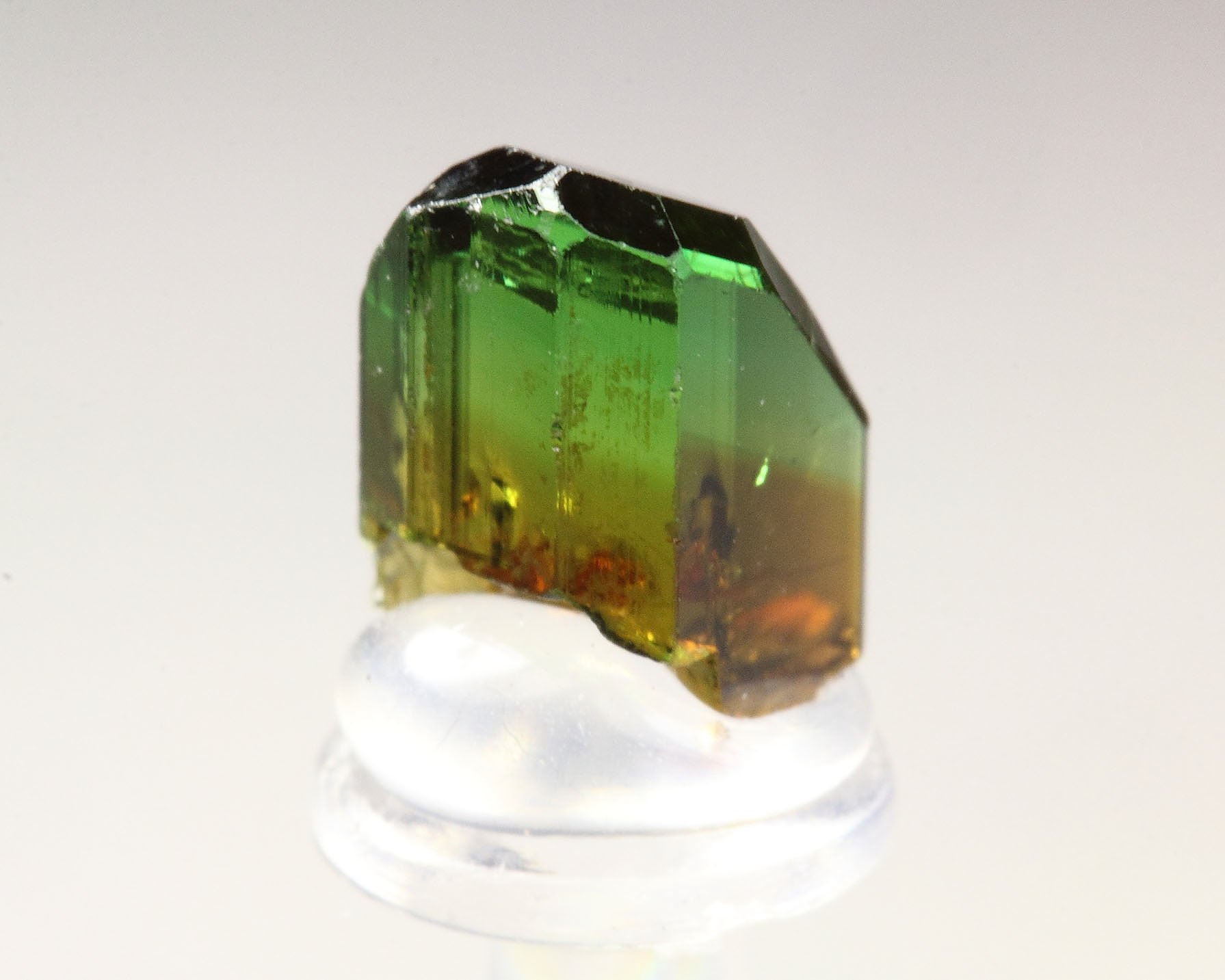 gem TOURMALINE var. DRAVITE