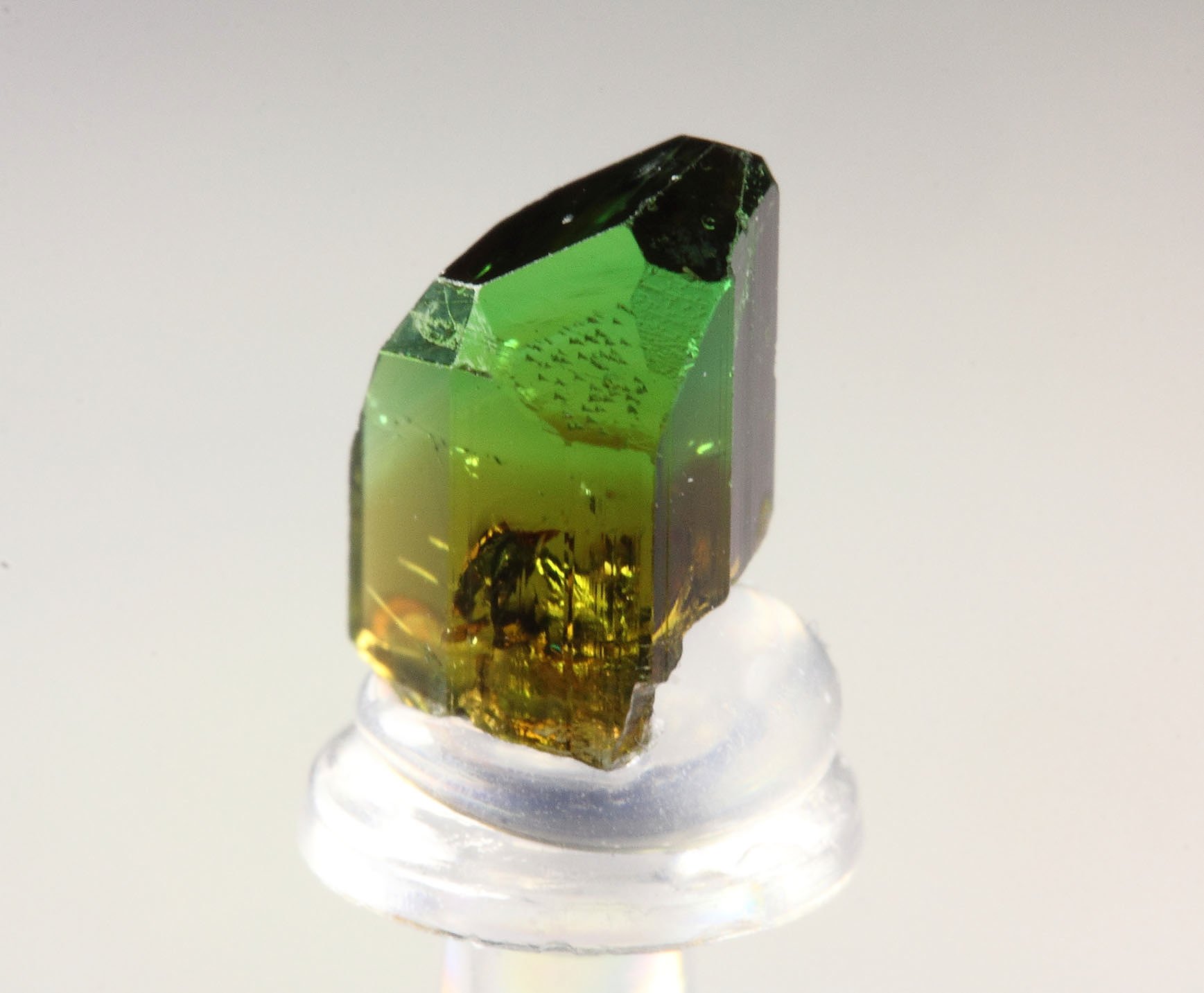 gem TOURMALINE var. DRAVITE