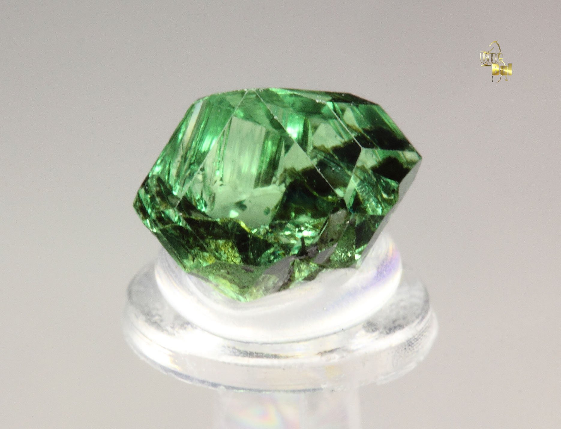 gem GARNET var. GROSSULAR var. TSAVORITE