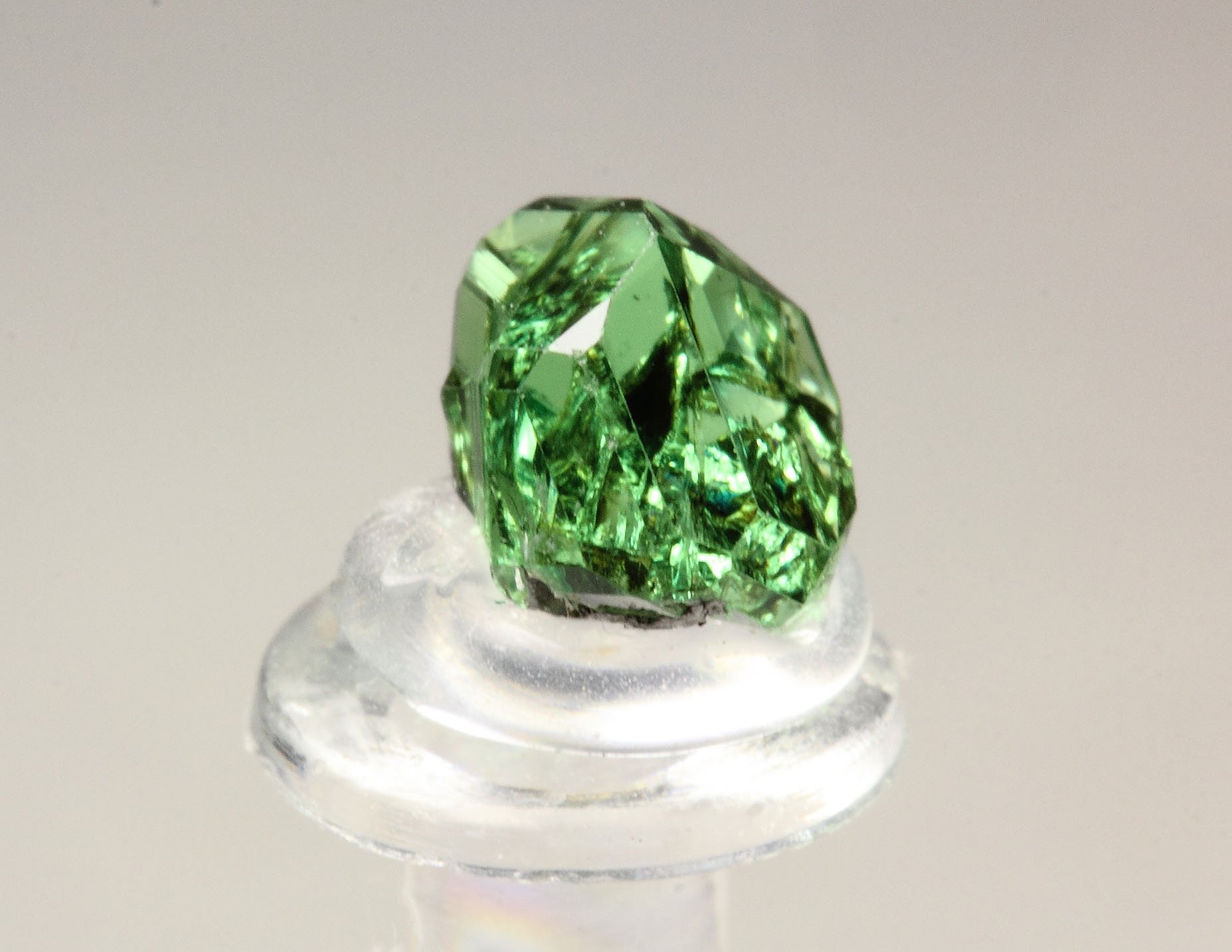 gem GARNET var. GROSSULAR var. TSAVORITE