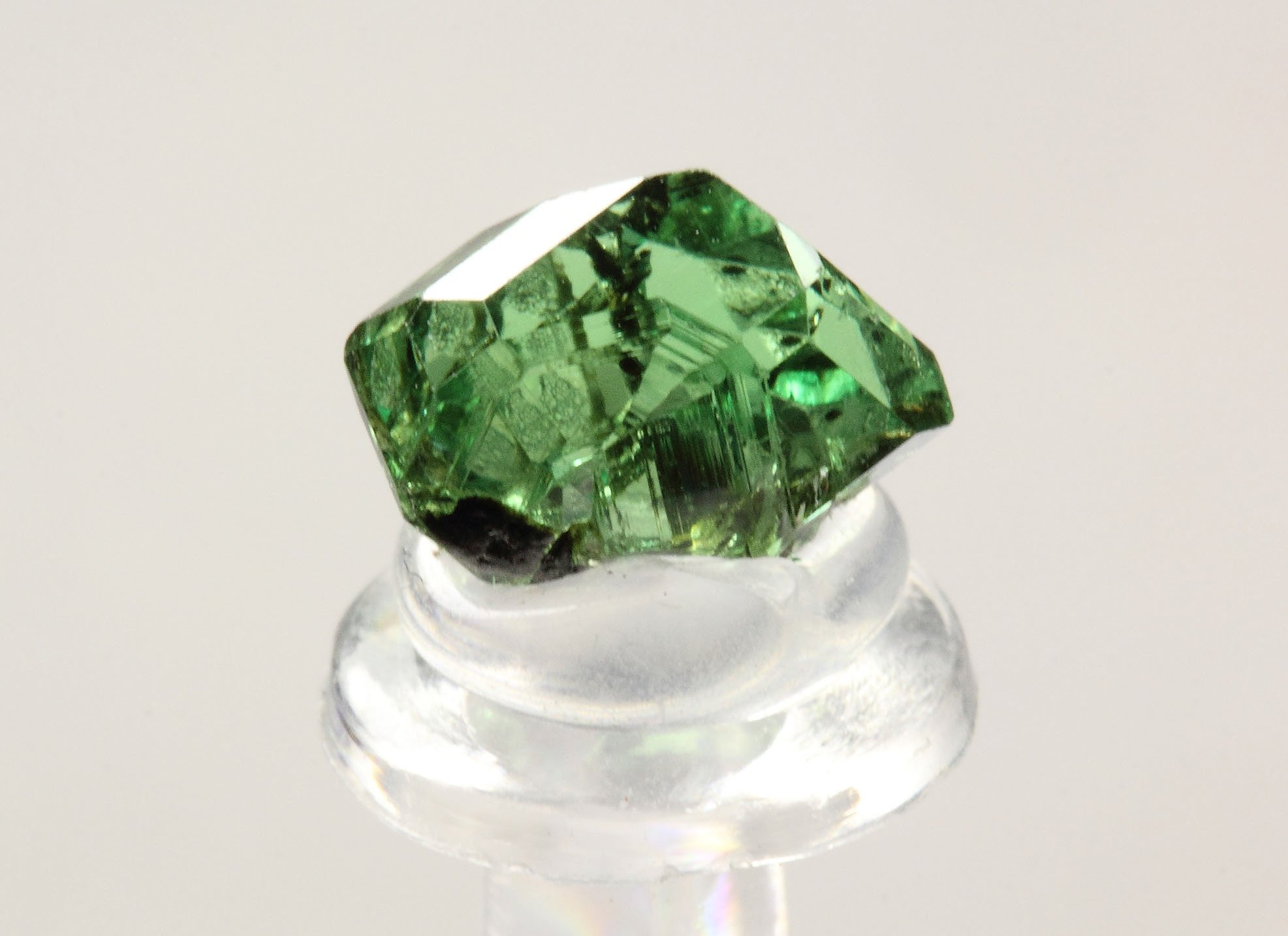 gem GARNET var. GROSSULAR var. TSAVORITE