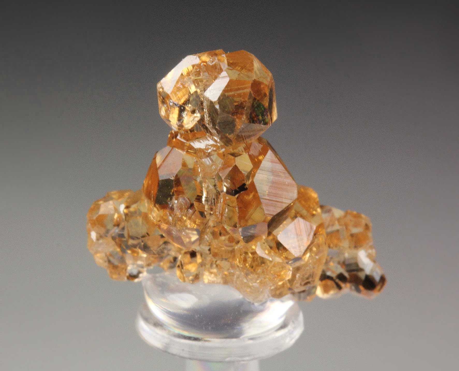 gem GARNET var. GROSSULAR