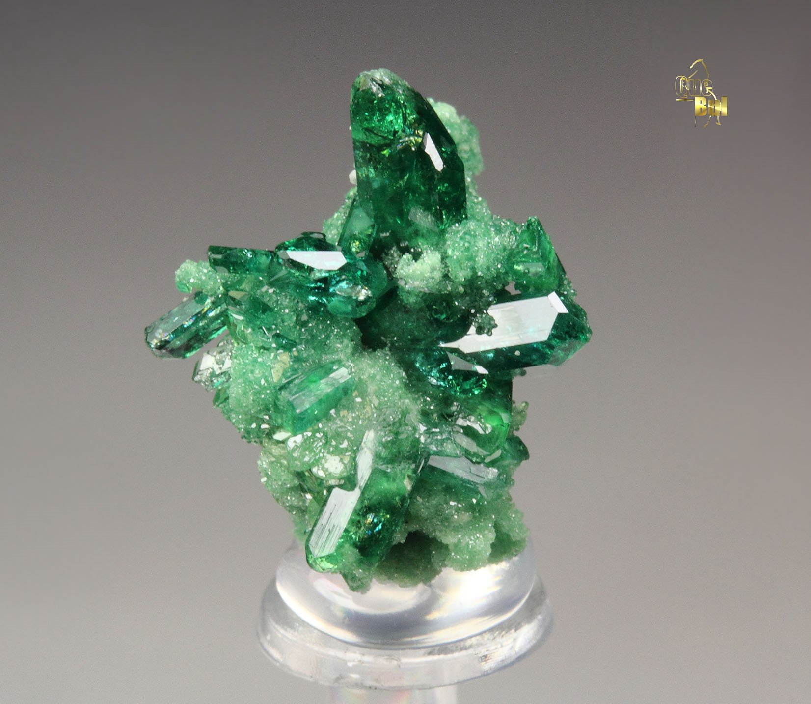 gemmy VESUVIANITE var. CHROMIAN