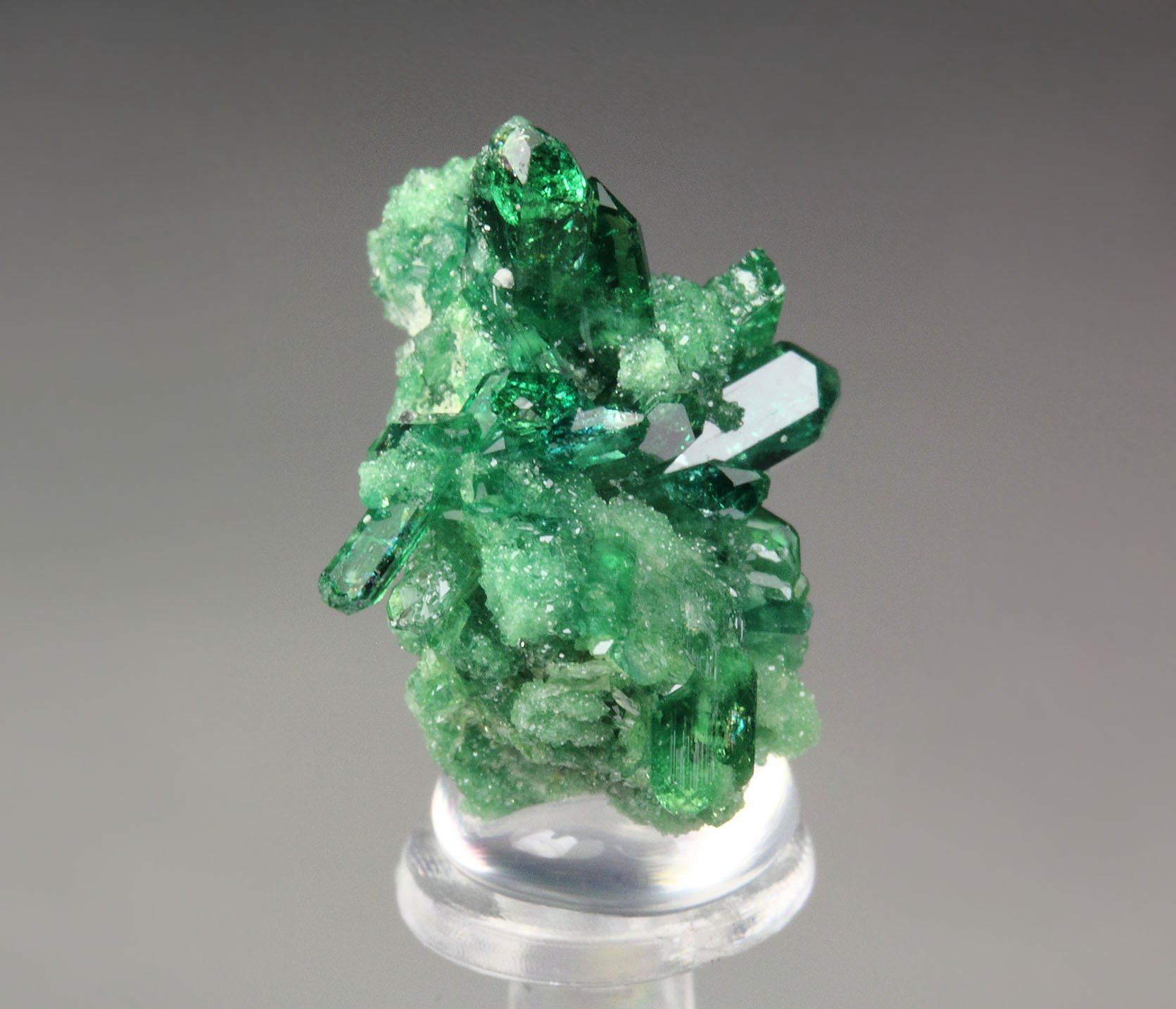 gemmy VESUVIANITE var. CHROMIAN