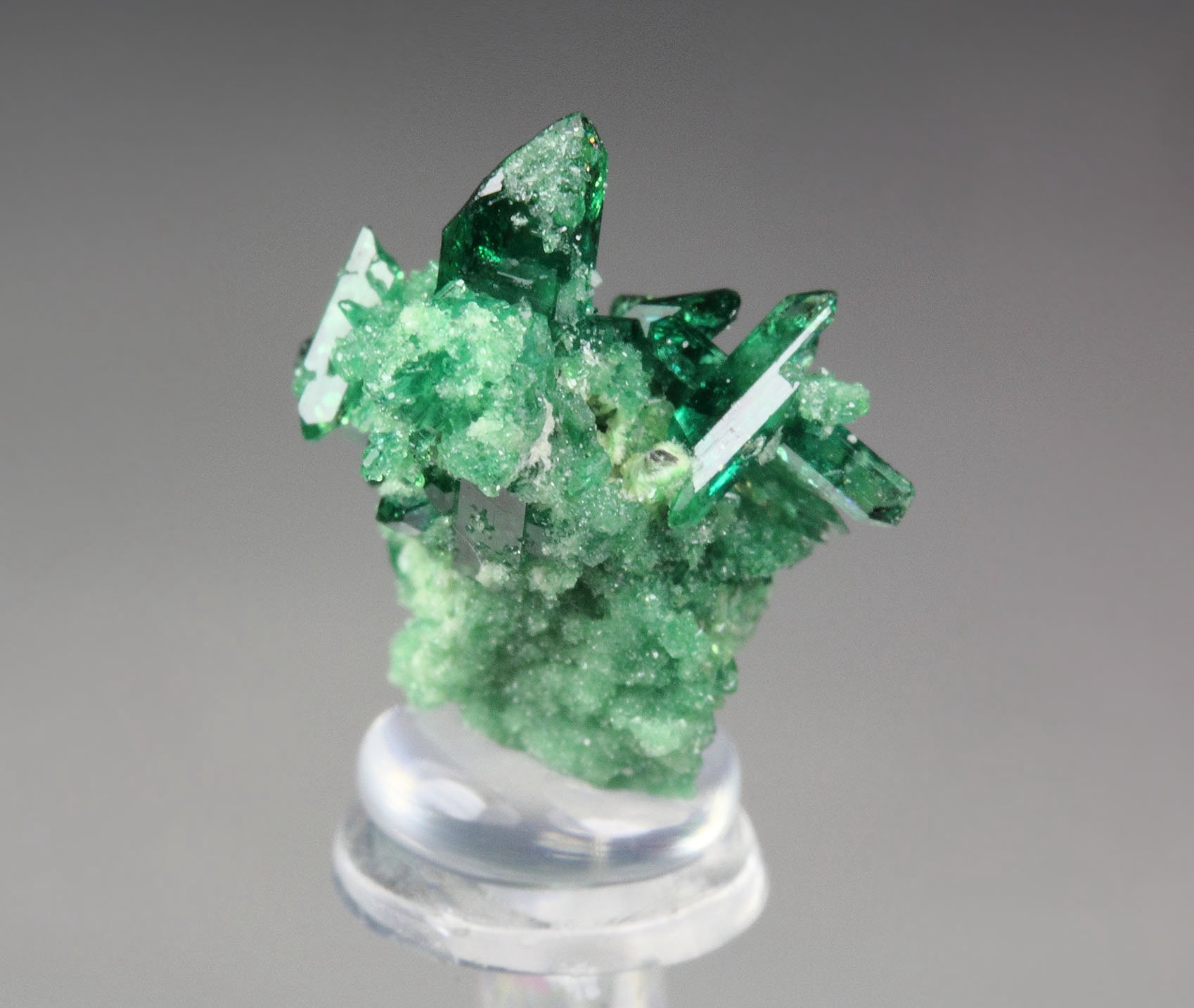 gemmy VESUVIANITE var. CHROMIAN