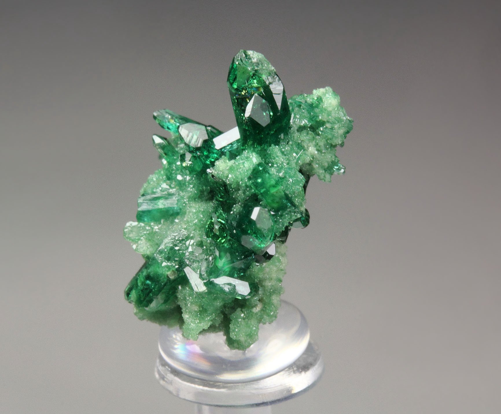 gemmy VESUVIANITE var. CHROMIAN