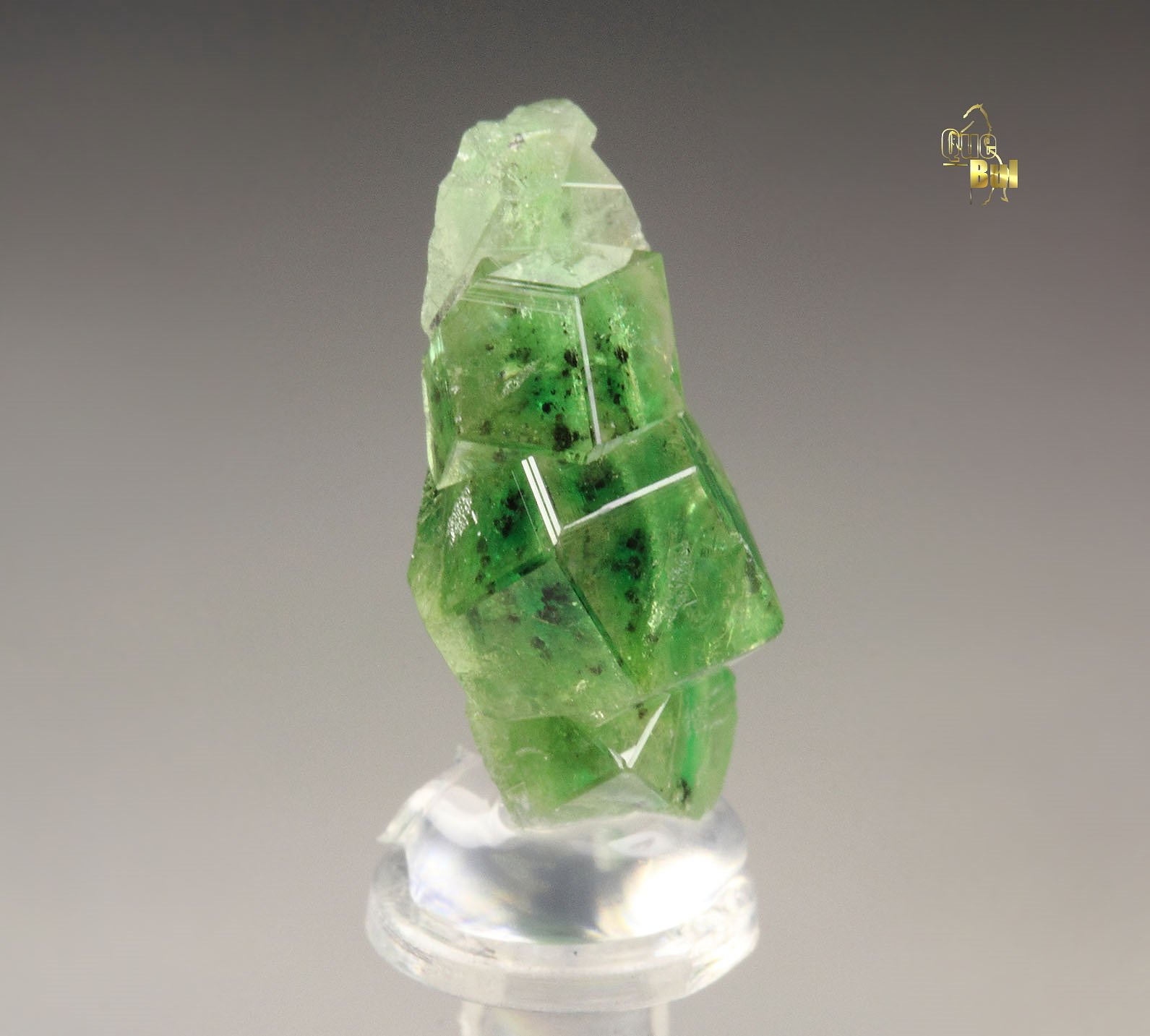 gem GARNET var. GROSSULAR with GREEN CHROMIAN PHANTOMS, CHROMITE