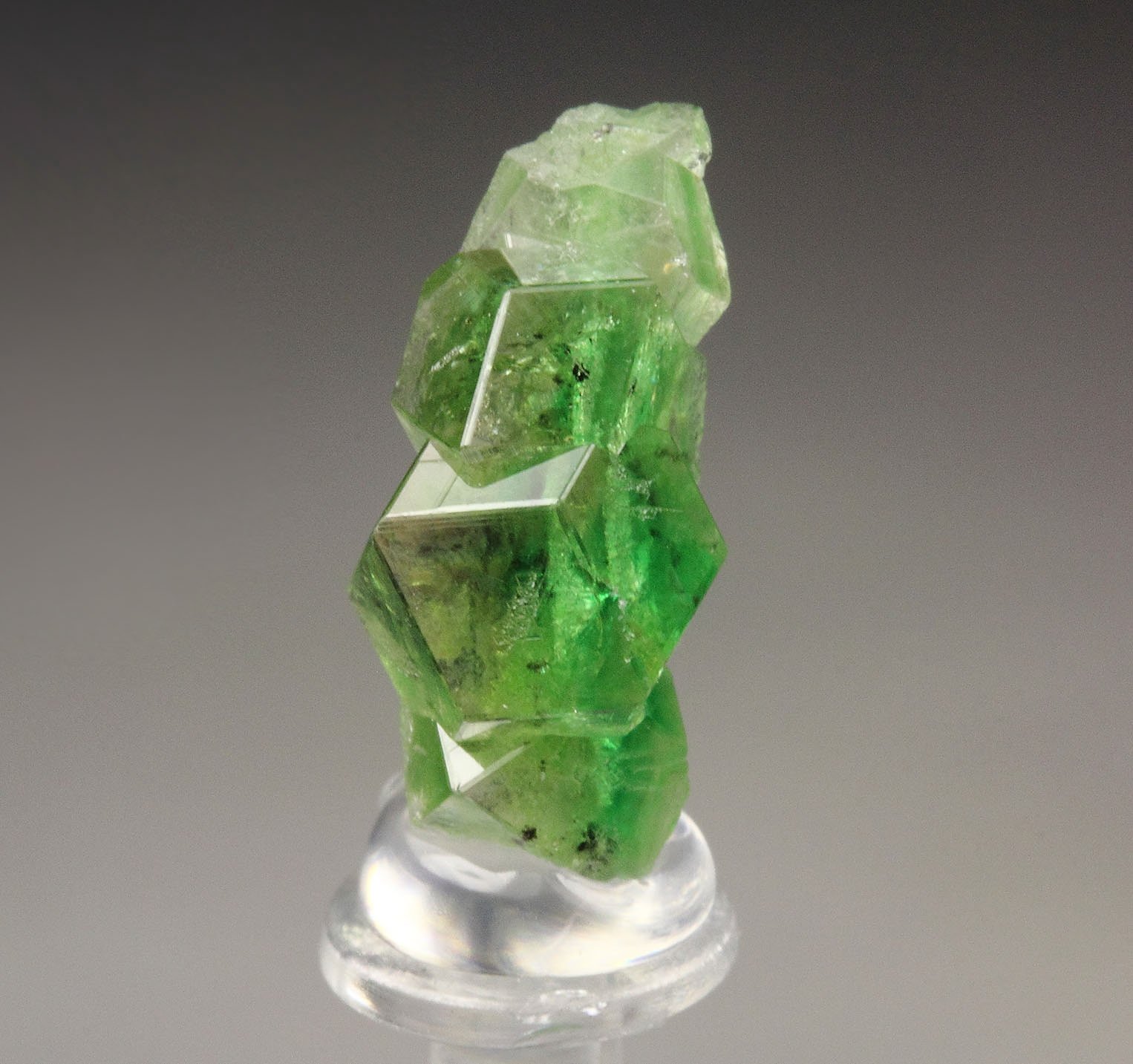 gem GARNET var. GROSSULAR with GREEN CHROMIAN PHANTOMS, CHROMITE