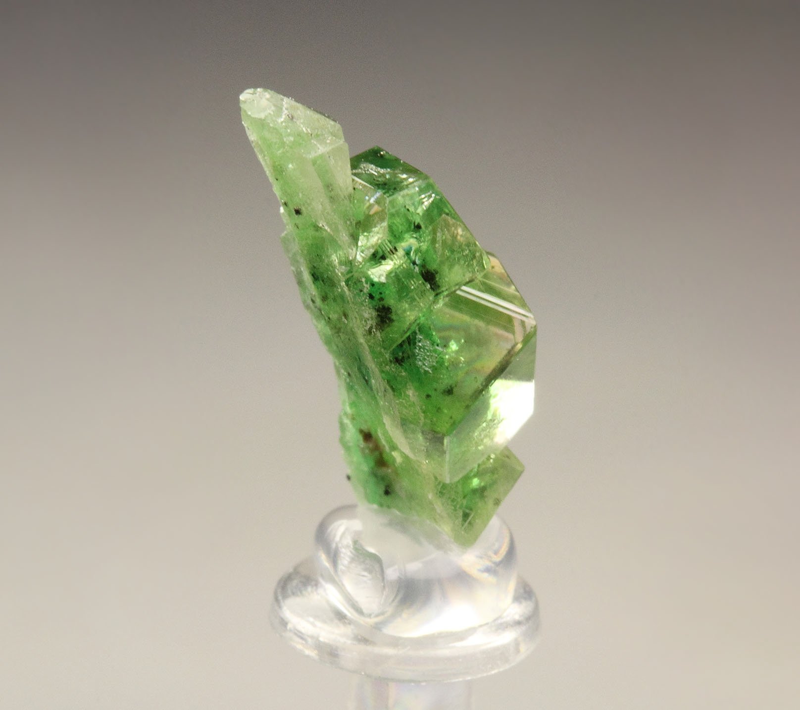 gem GARNET var. GROSSULAR with GREEN CHROMIAN PHANTOMS, CHROMITE