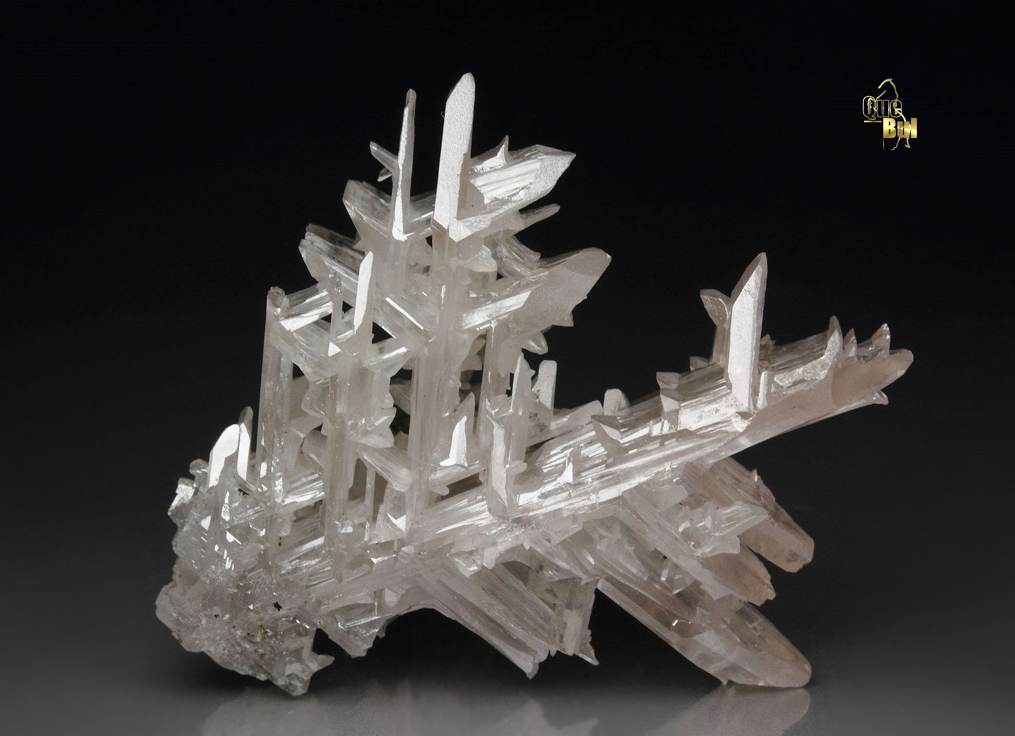 reticulated CERUSSITE