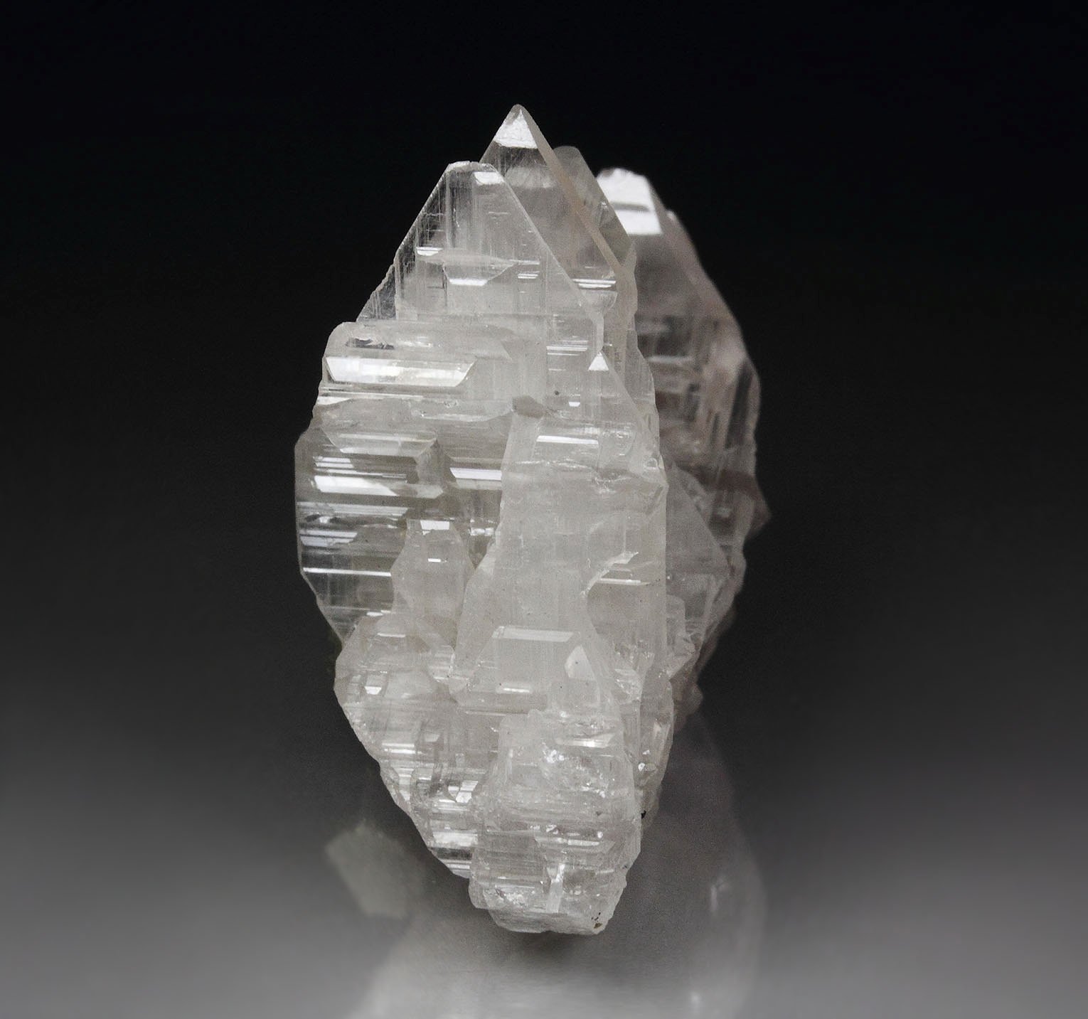 reticulated CERUSSITE