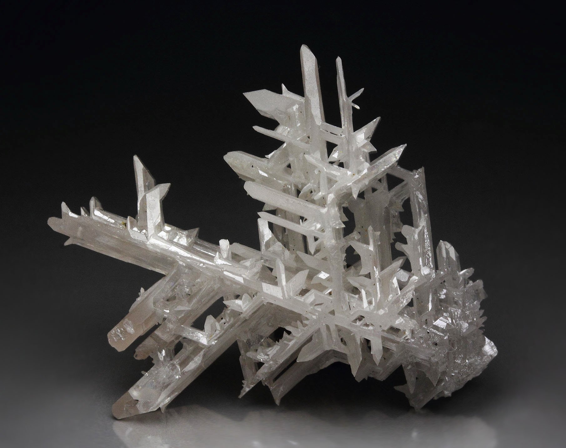 reticulated CERUSSITE