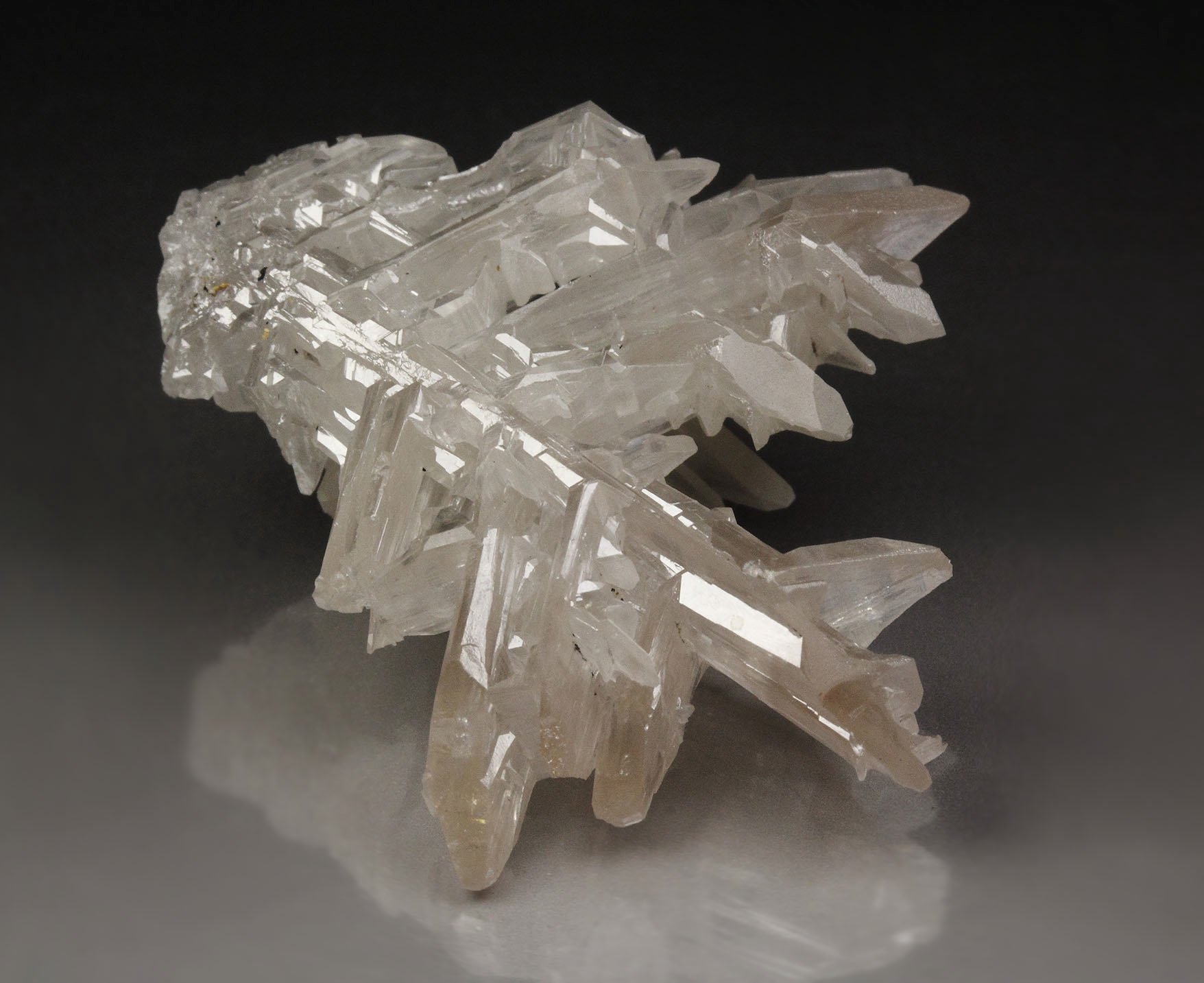 reticulated CERUSSITE